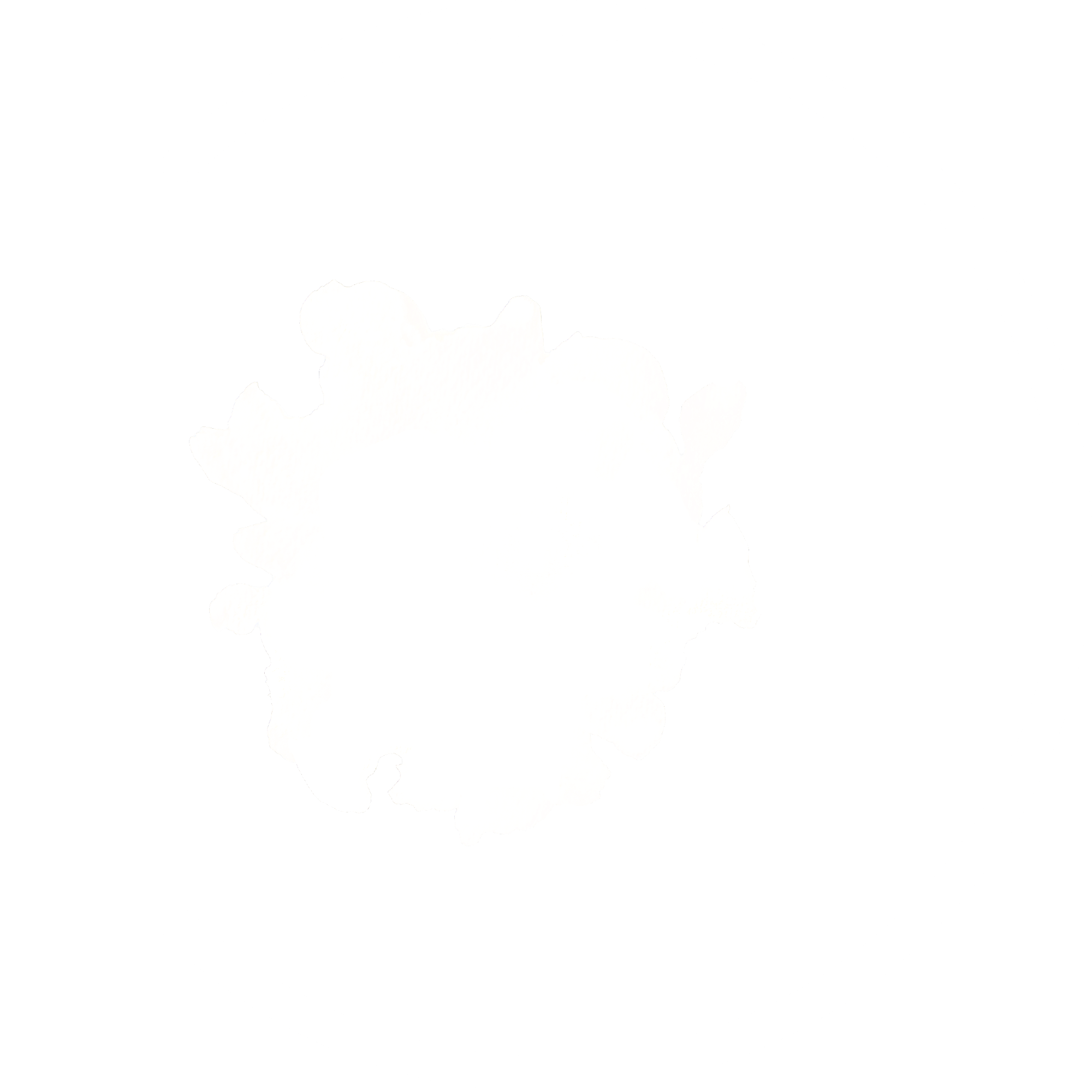 Superman's emblem in black and white.
