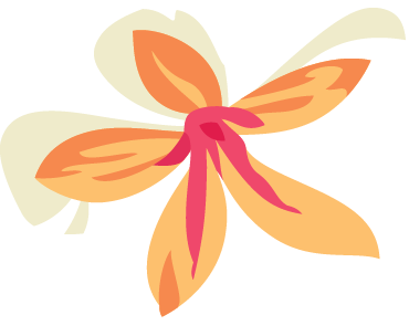 Stylized orange and pink butterfly illustration with cream and light green background elements.