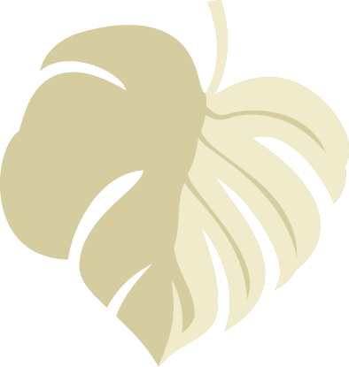 Stylized beige monstera leaf on black background