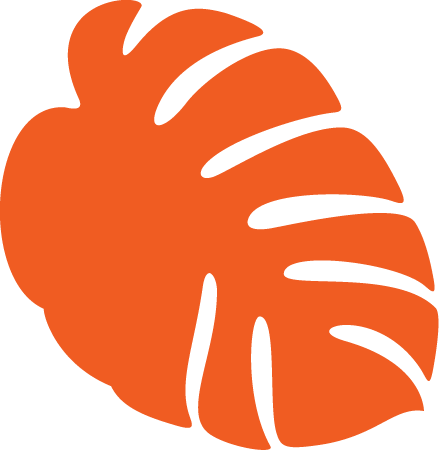 Orange tropical leaf illustration.