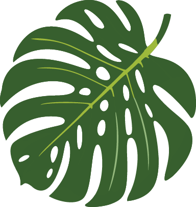 Illustration of a large green monstera leaf