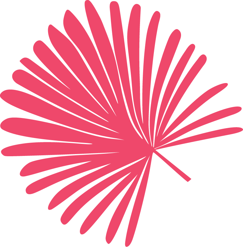 Pink fireworks explosion against a black background.