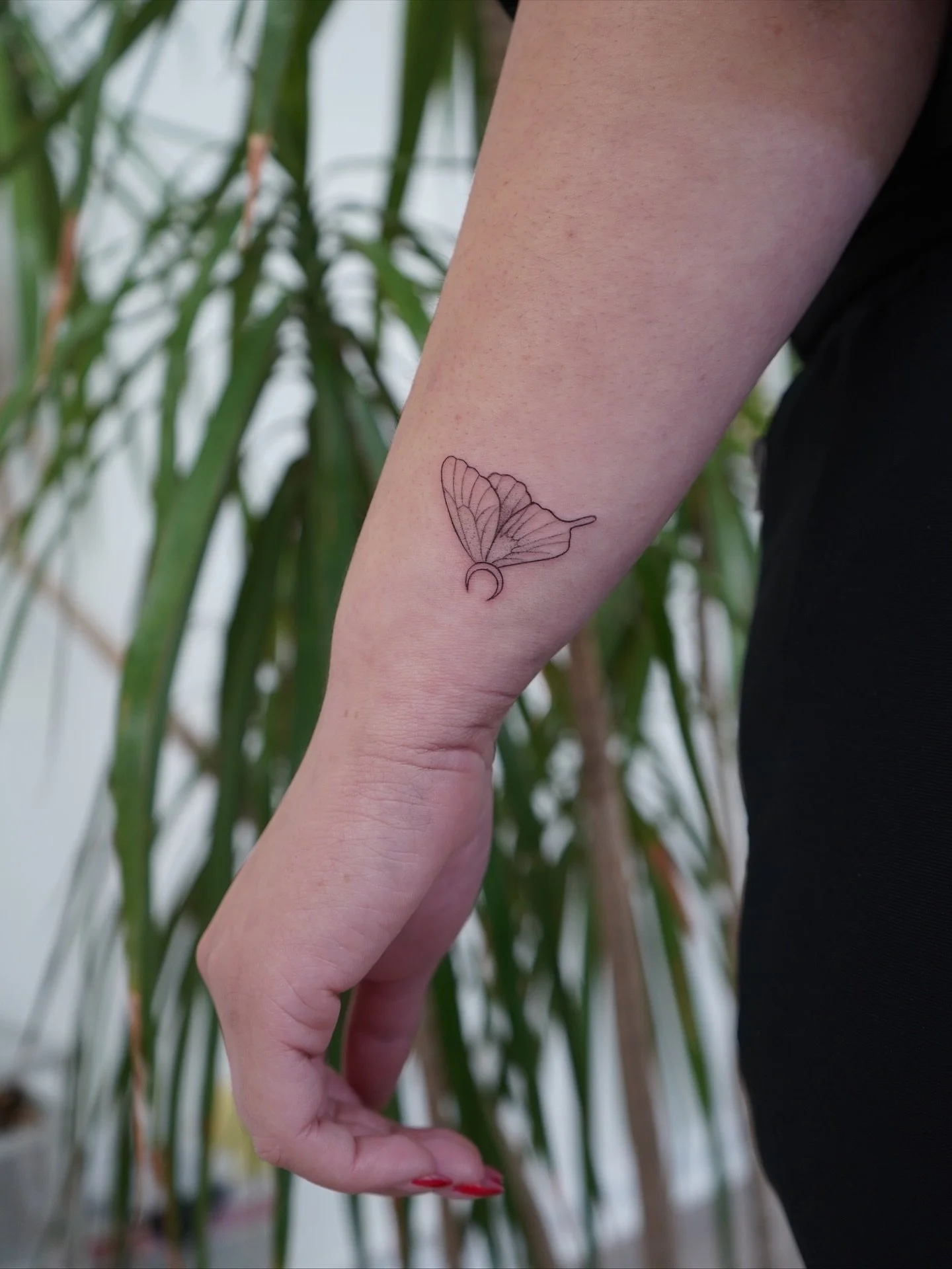 Another beautiful flash design by Kim ✨

Want something like this? She&rsquo;s got more available &mdash; check our highlights for her current flash!

#MorningGloryTattoo #BlackRockTattoo #FlashAvailable #TattooStudioVibes #TattooShopLife #SupportLoc