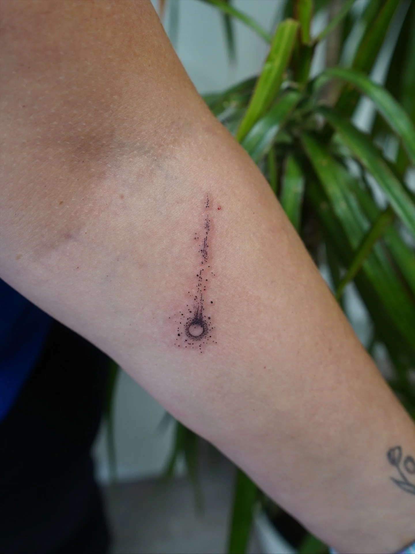 Dotwork comet &mdash; keeping it simple, crisp, and perfectly balanced. ☄️ By @rebeccabettz 

#MorningGloryTattoo #DotworkTattoo #CometTattoo #FineLineTattoo #MinimalTattoo #MicroTattoo #TinyTattoos #DelicateInk #TattooStudio
