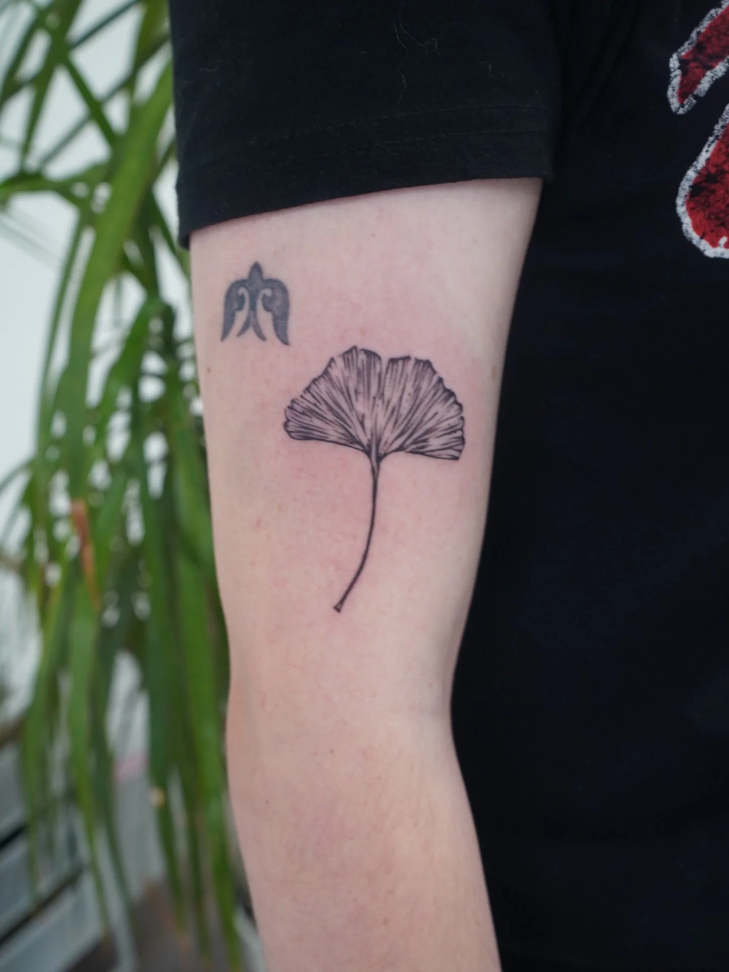 @kimdracula.ink&rsquo;s line work doesn&rsquo;t miss.😮&zwj;💨DM us to book with her today!
 
#MorningGloryTattoo #FineLineTattoo #FloralTattoo #LineworkTattoo #CustomTattoo TattooStudio