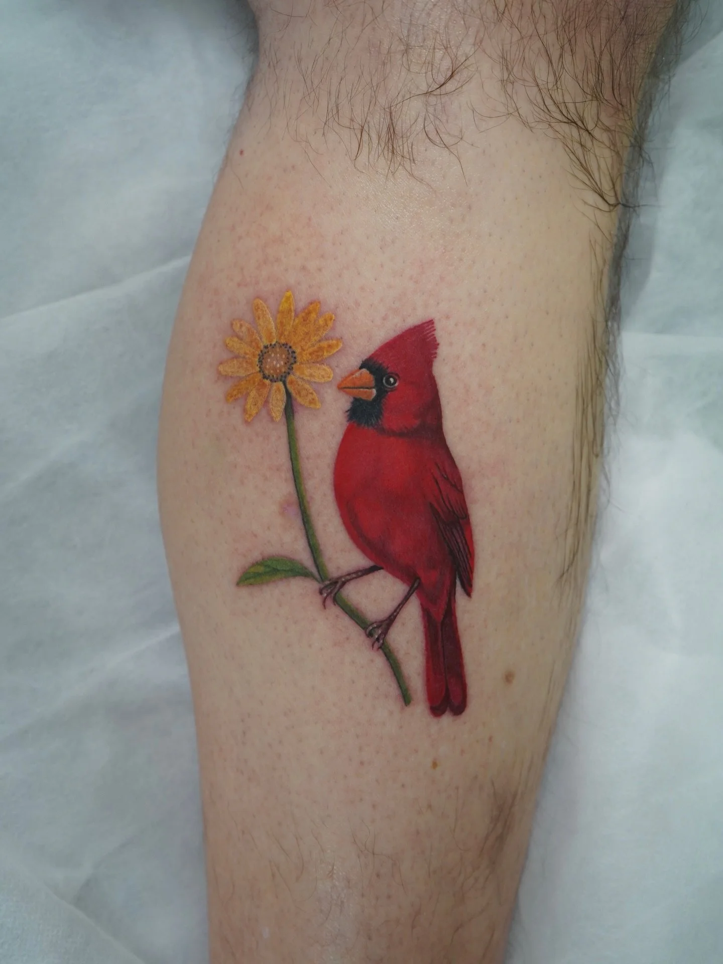 A little reminder that loved ones are always close ❤️🌼

Done by @rebeccabettz 

#cardinaltattoo #finelinetattoo #naturetattoo #colortattoo #tattooart