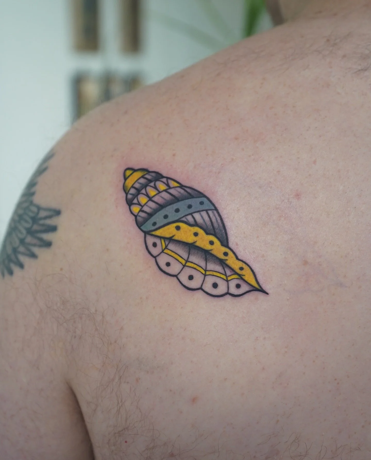 We&rsquo;ll never get tired of doing timeless traditional tattoos. Bold lines, solid color, and designs that age beautifully &mdash; that&rsquo;s the good stuff. 🙂&zwj;&harr;️

Done by @kimdracula.ink 

#traditionaltattoo #tattooshoplife #boldwillho