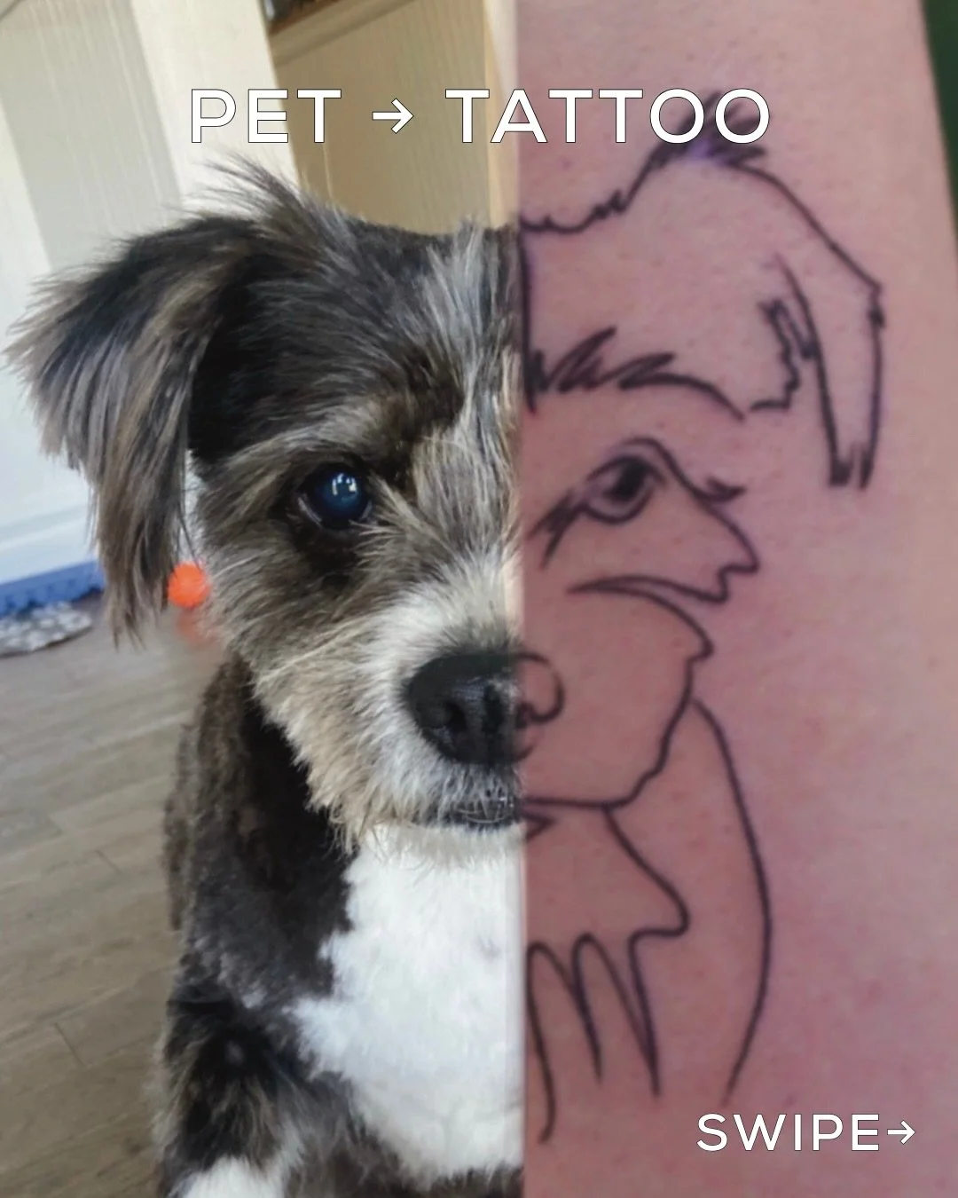 This is what forever looks like 🐾

Turn your pet into something you carry with you always! 

Done by @kimdracula.ink 

#pettattoos #tattooinspo #finelinetattoo #dogtattoo #customink