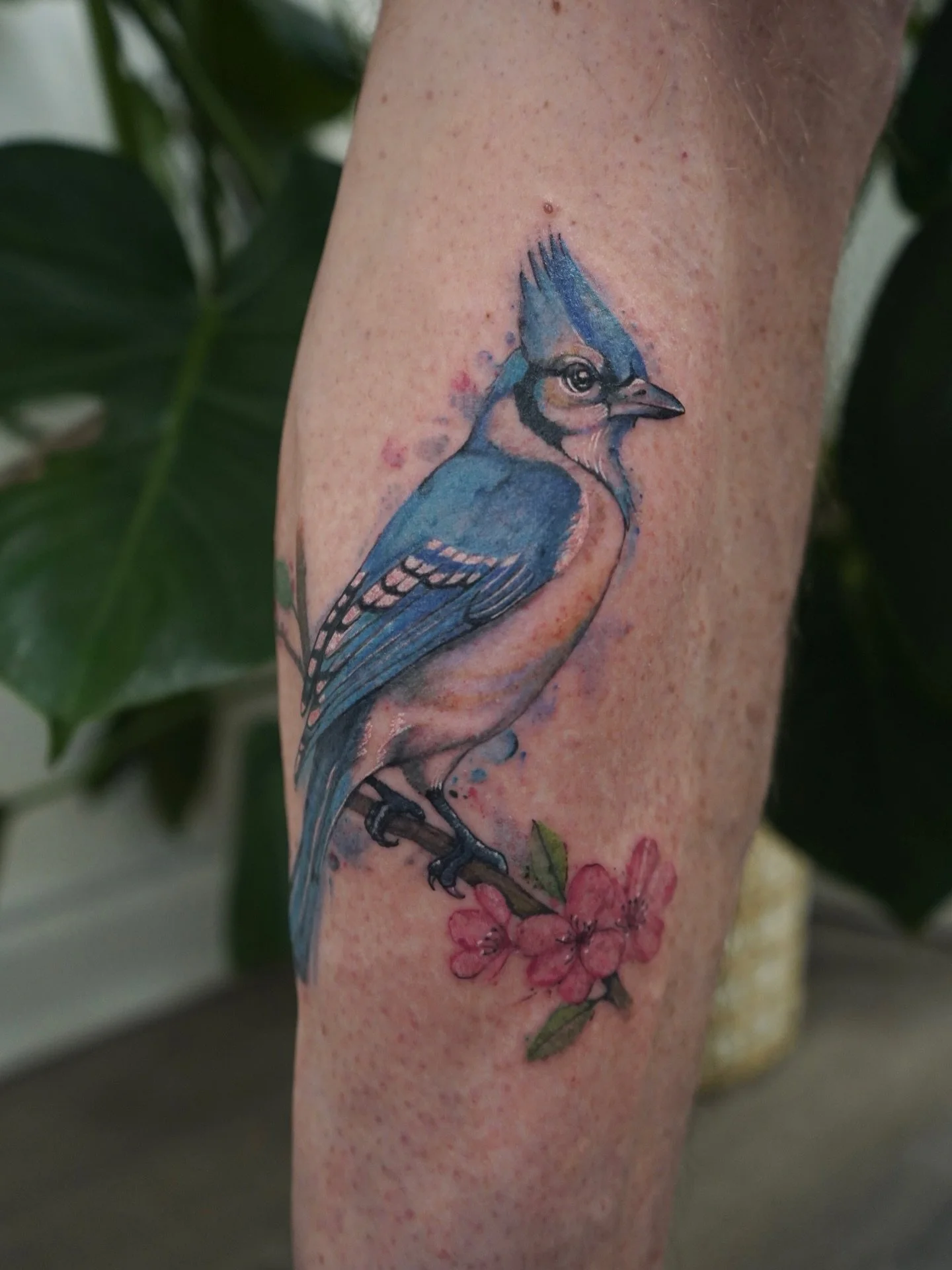 Spring is in the air&mdash;and so are the blue jays 💙
Absolutely loving this vibrant piece by @rebeccabettz!