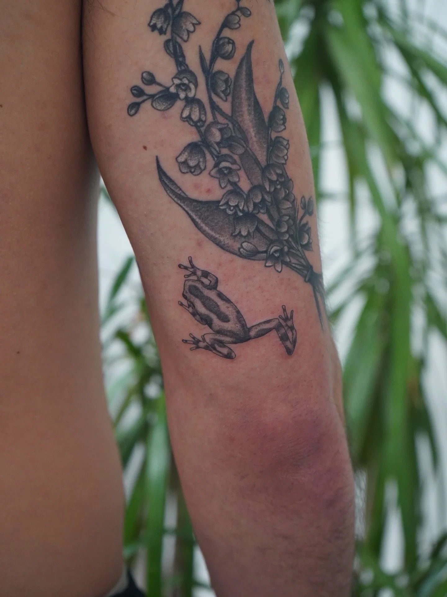 A little reminder that nature always makes the coolest art. 🌿🐸

This little guy was done by @kimdracula.ink ✨

What little animal is on your tattoo list?

#treefrogtattoo #naturetattoo #finelinetattoo #blackworktattoo #tattooideas