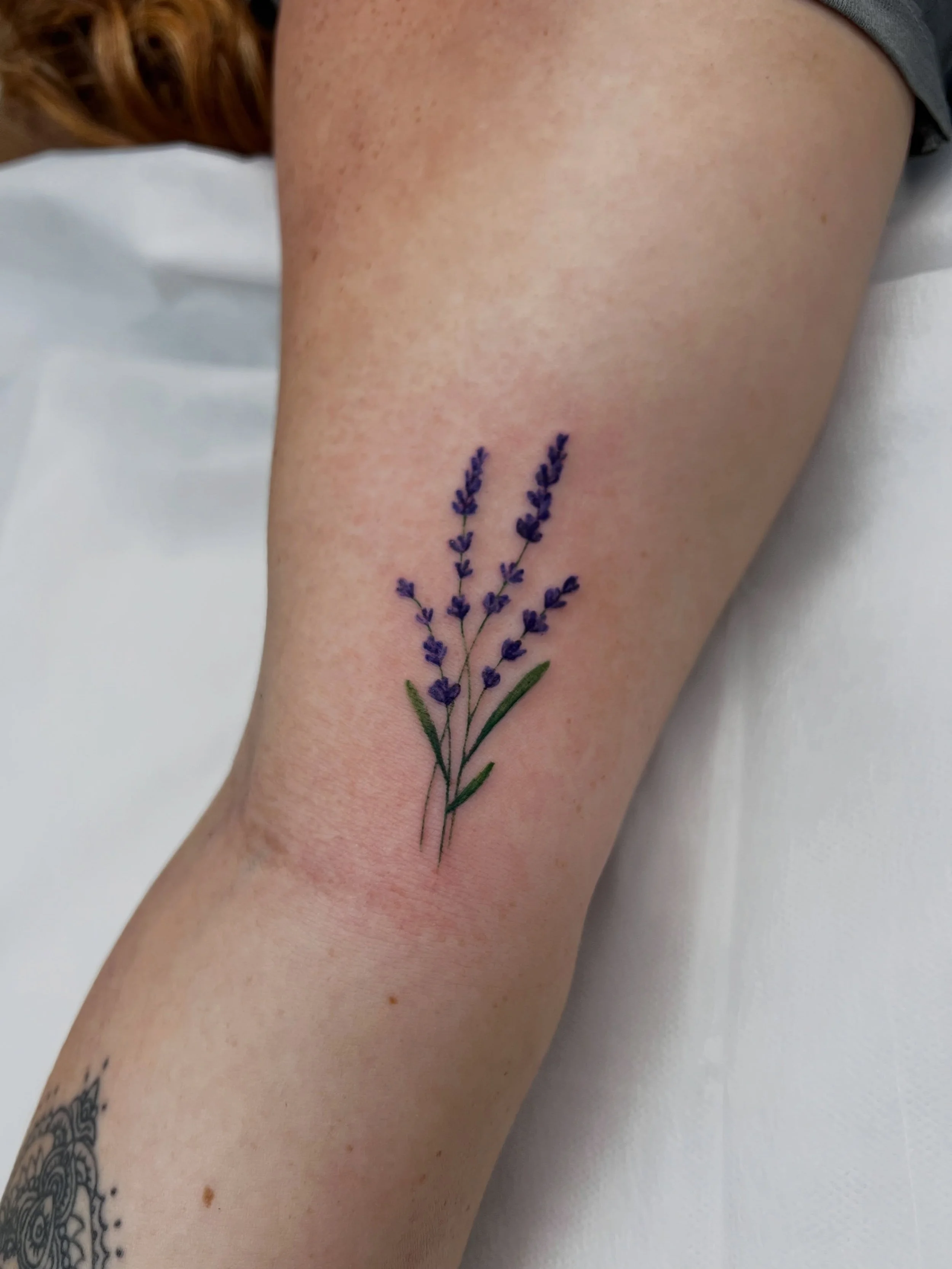A little piece of lavender for forever 💜

Done by @rebeccabettz 

Interested in your own custom floral piece? We&rsquo;d love to create it.

#MorningGloryTattoo #FloralTattoo #LavenderTattoo #ConnecticutTattoo #TattooArtistCT