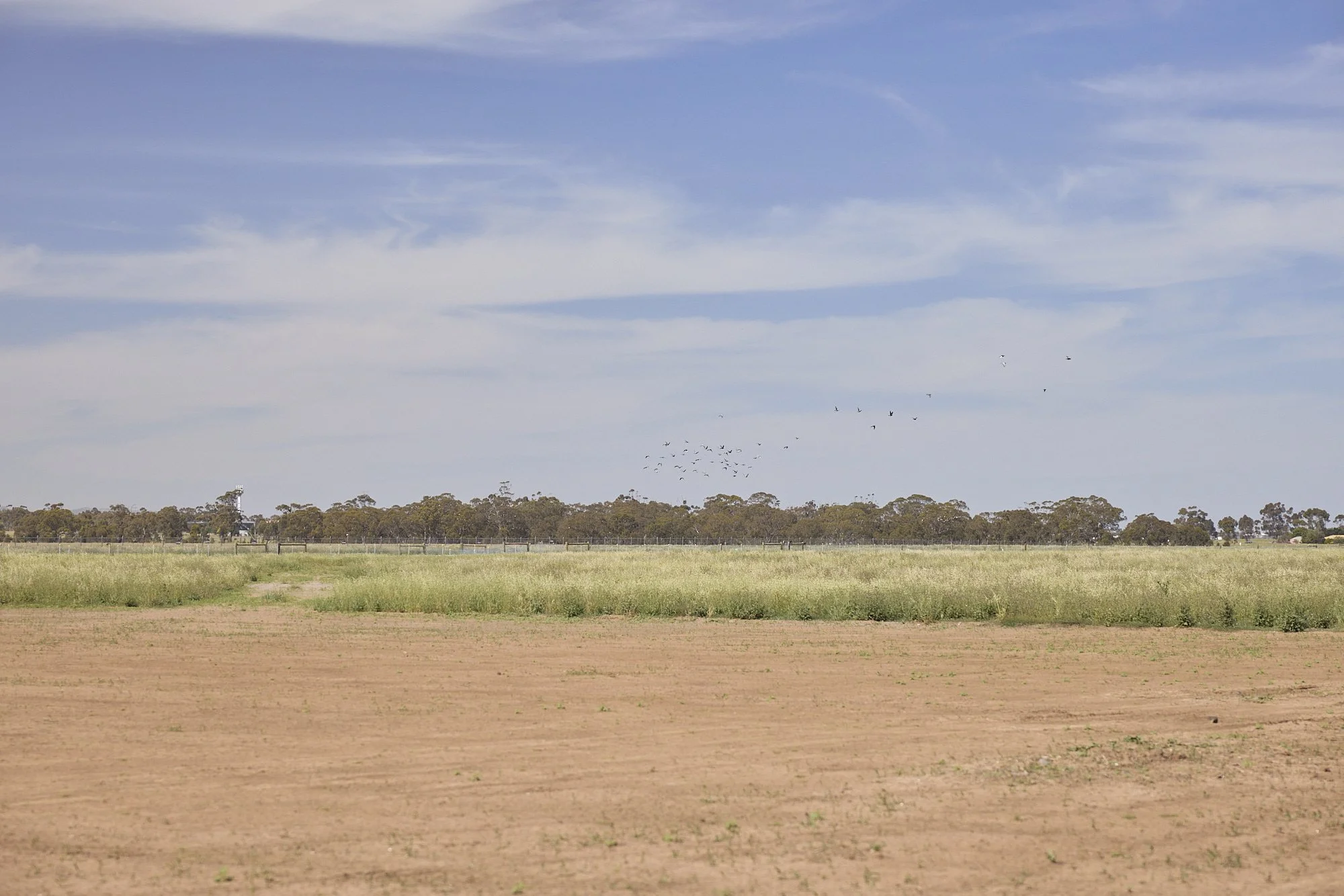 GMCT - HARKNESS MEMORIAL  0440.jpg
