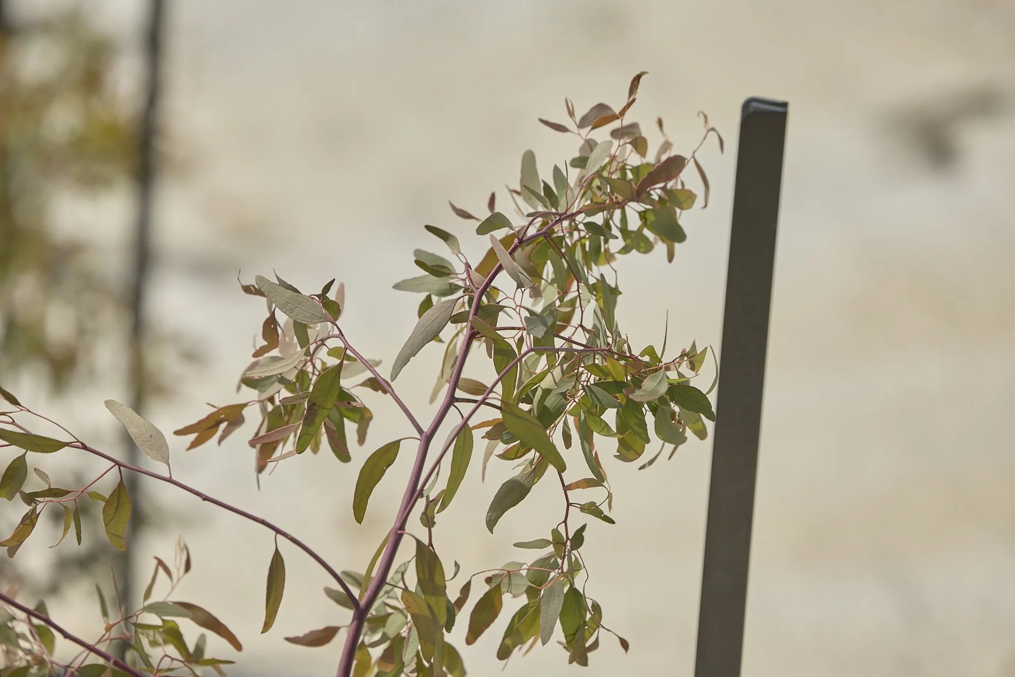 GMCT - HARKNESS MEMORIAL  0460.jpg