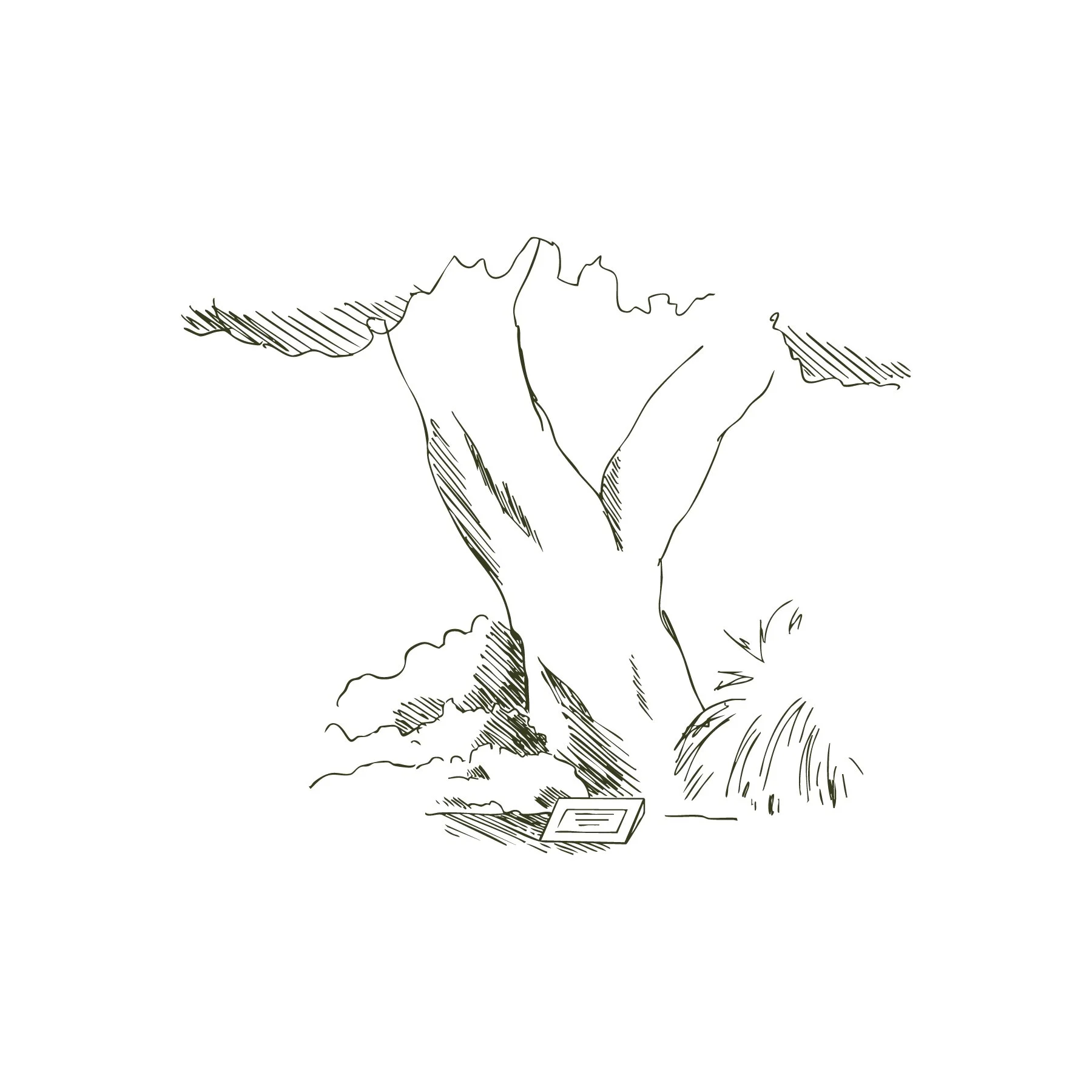 Tree memorial