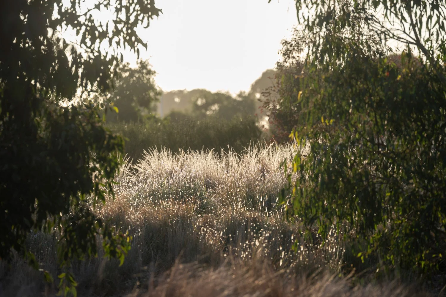 Harkness-memorial-park-natural-gardens.jpg