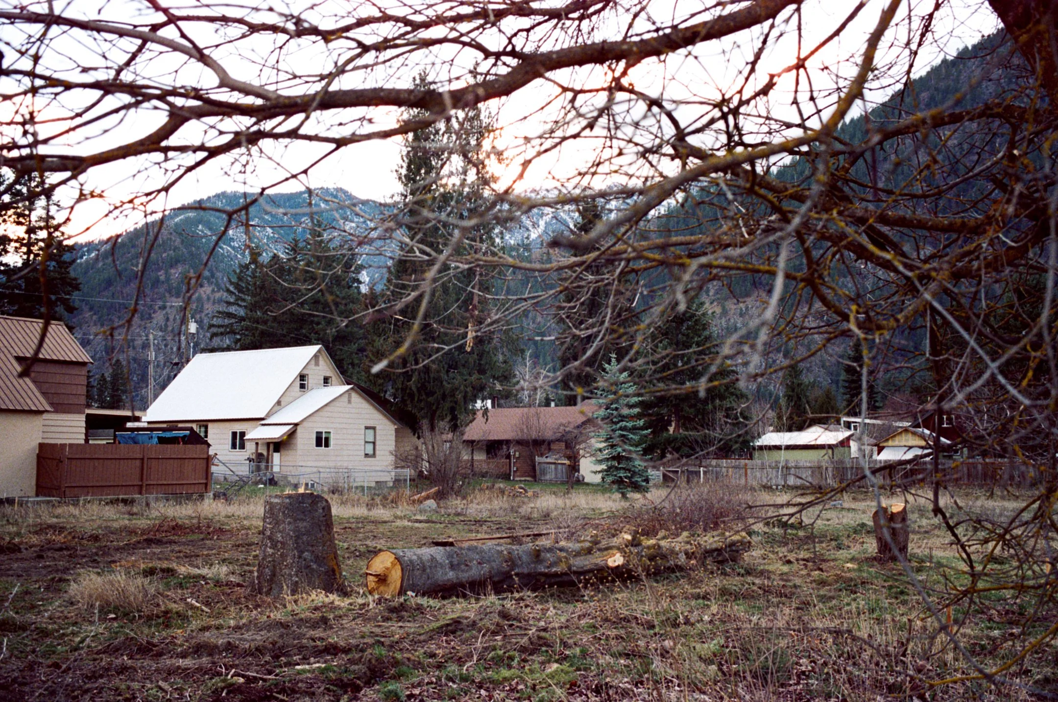 ashnsis-3.jpg