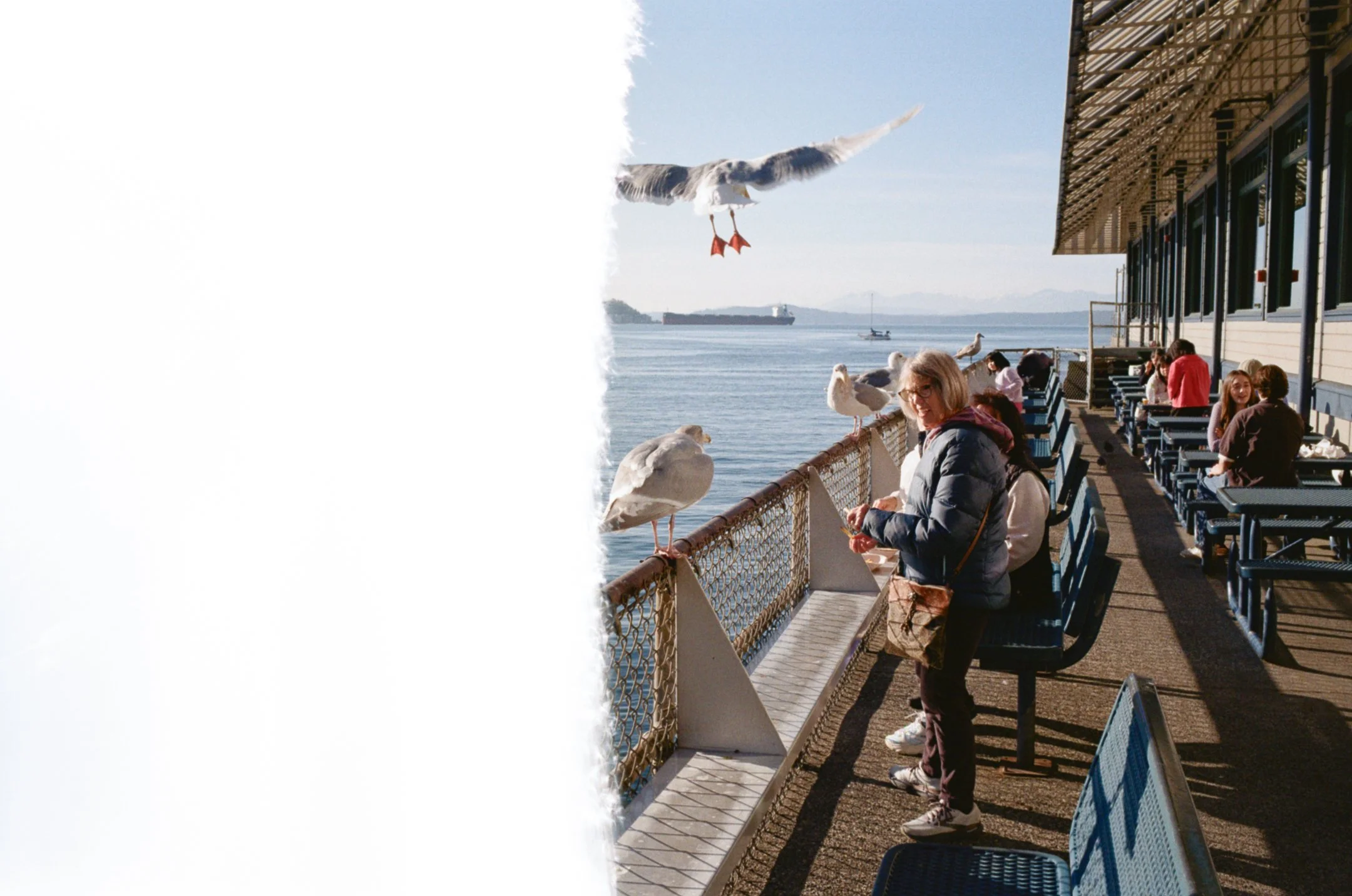pier.jpg