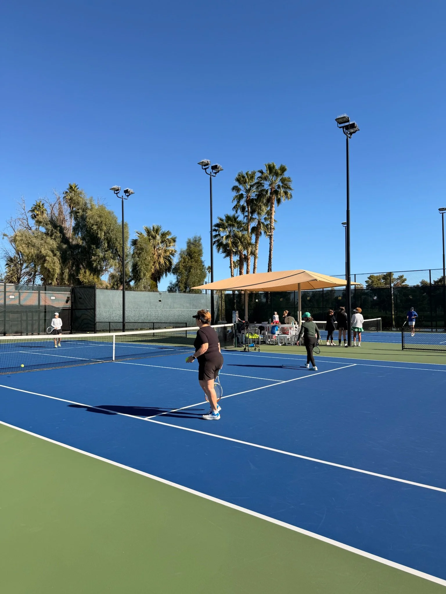 People playing tennis on a bright outdoor court with palm trees and a sunny blue sky.