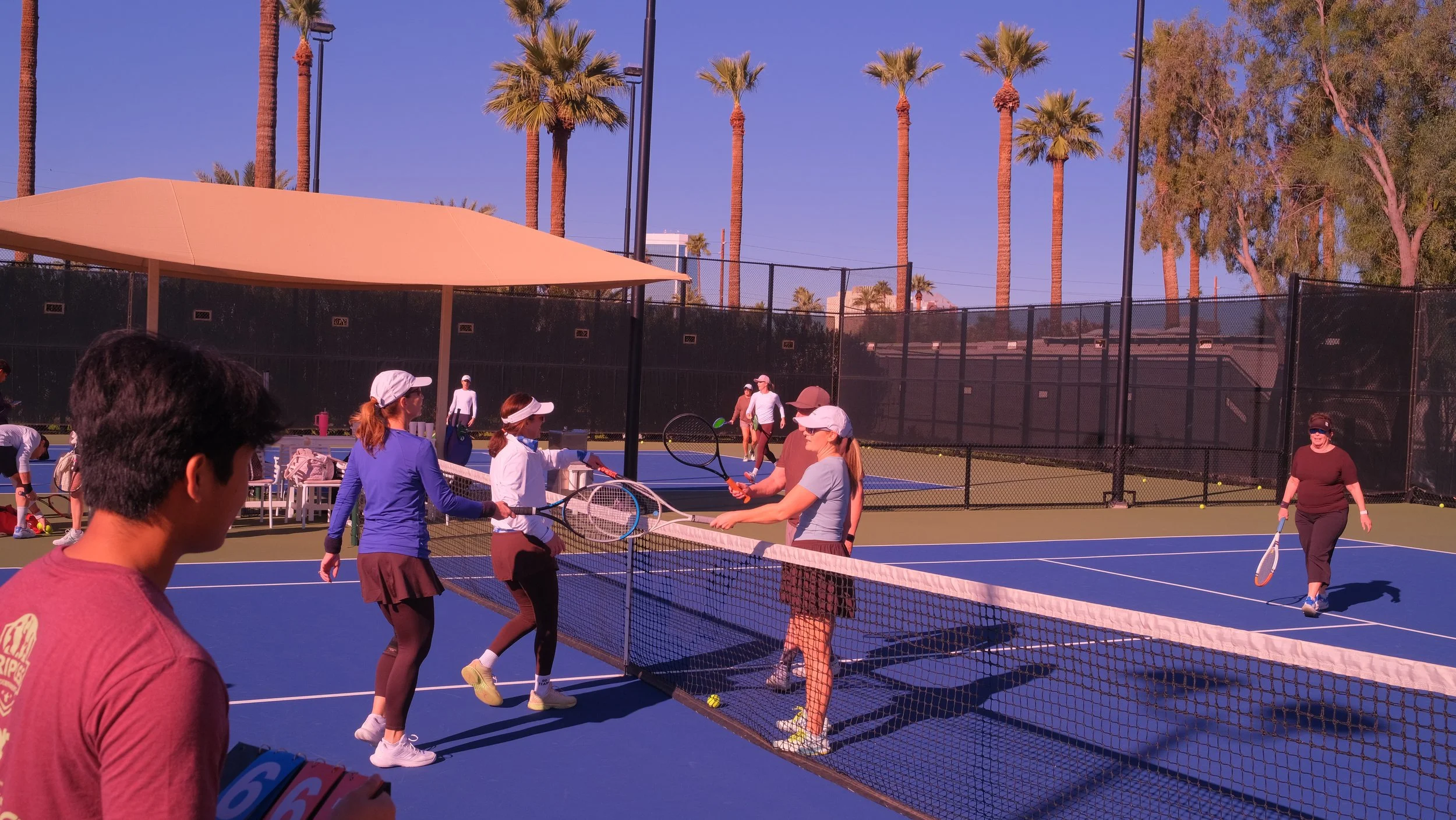 People playing pickleball on a blue court surrounded by a black fence, with palm trees and a clear blue sky in the background.