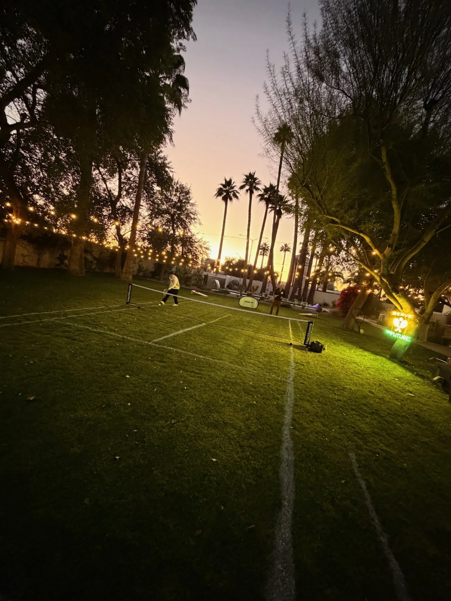 Sunset in a park with string lights, tall palm trees, a small tennis or pickleball court, and people playing.