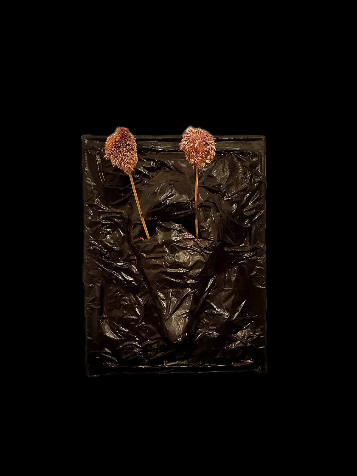 Two dried seed heads in a black textured background.