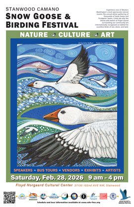 Snow Goose Festival