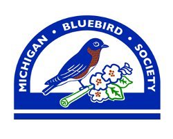 Spring Bluebird Festival