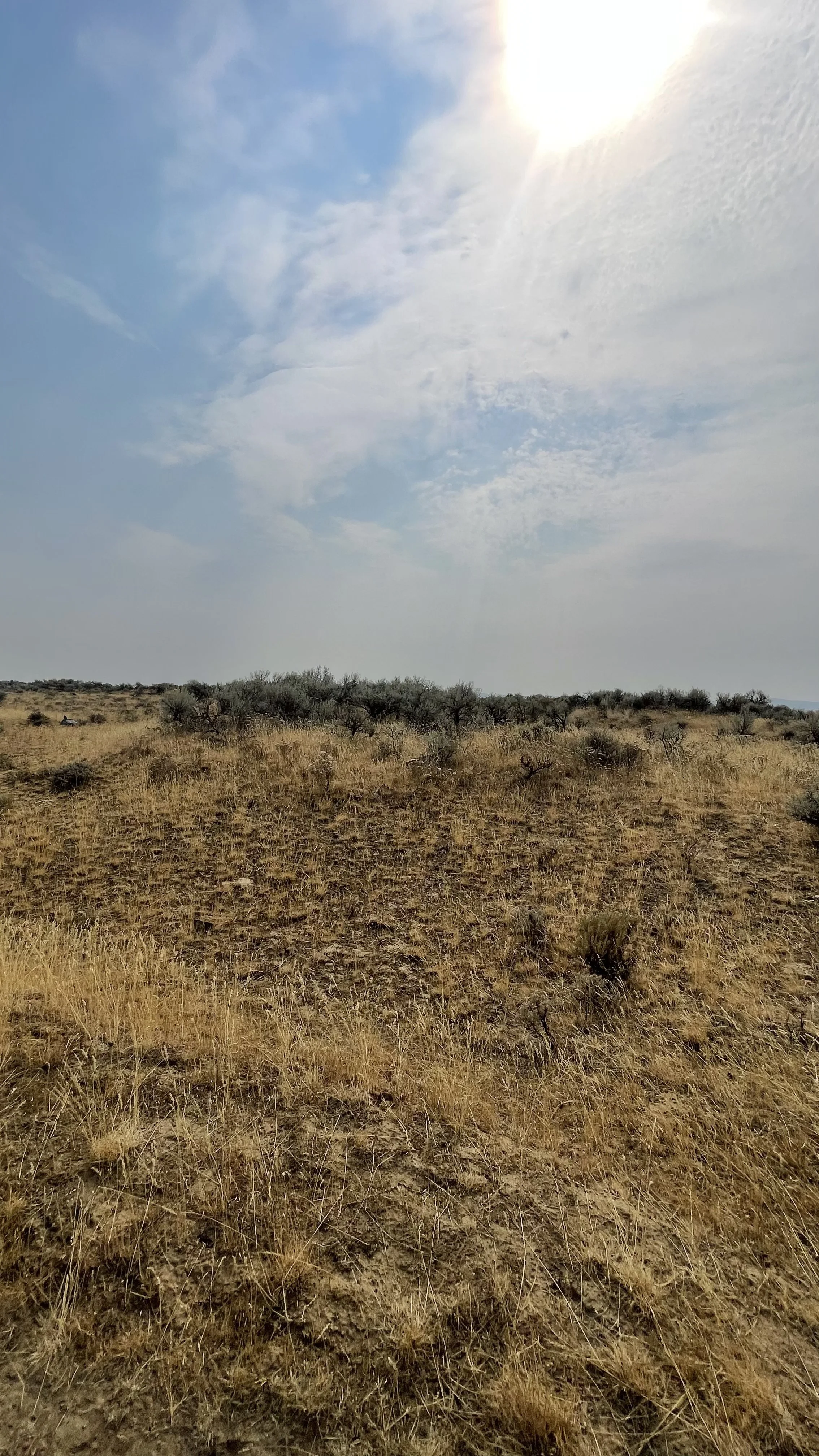 The United States Has Left the Paris Climate Agreement. What Does That Mean for Wildlife and Ecosystems?