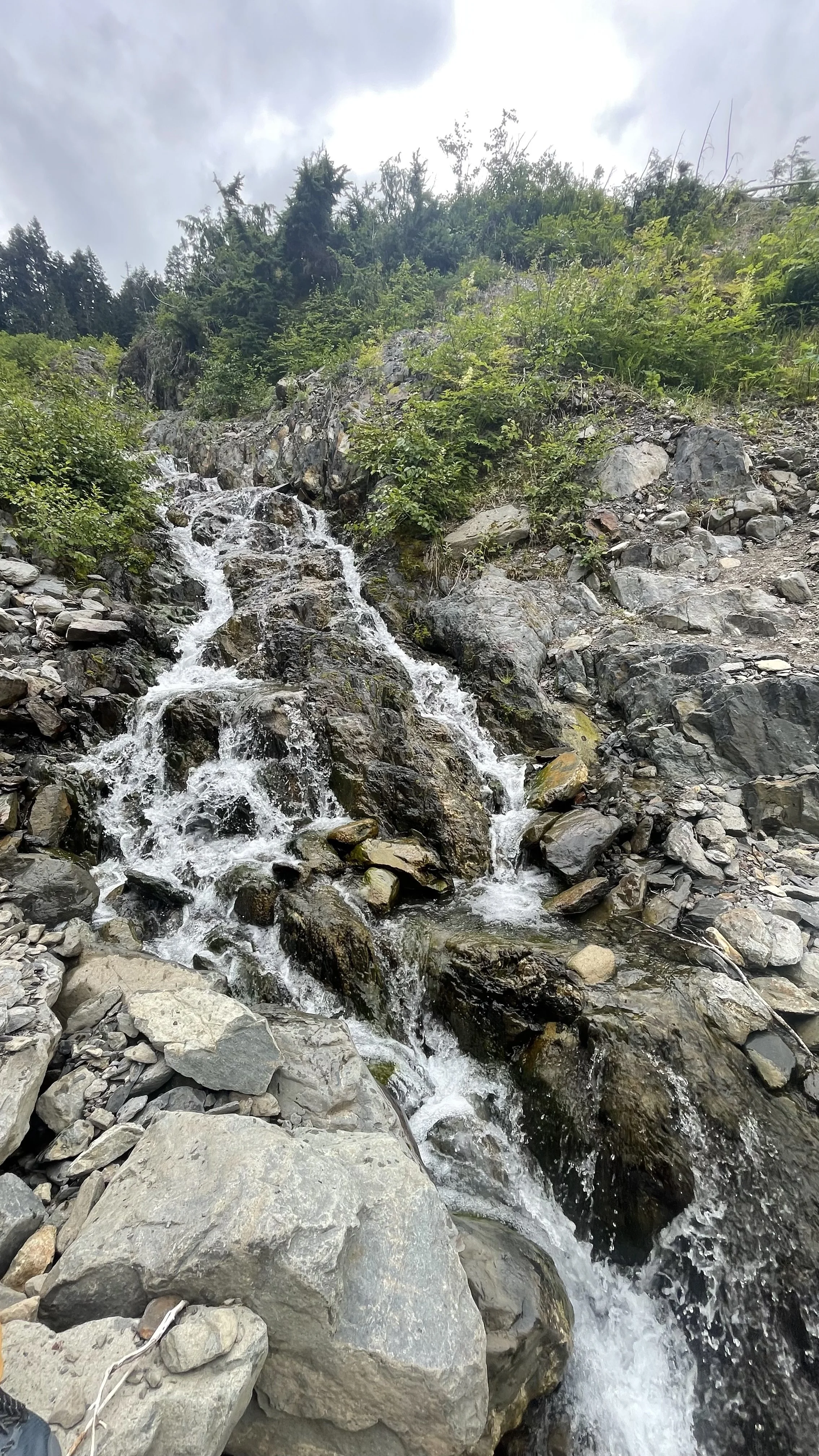 Nutrient Cycles: How Matter Moves Through Living Systems