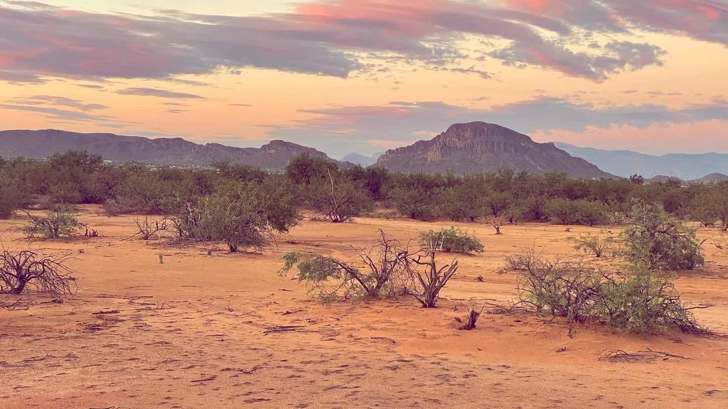 Ecosystems &amp; Biomes