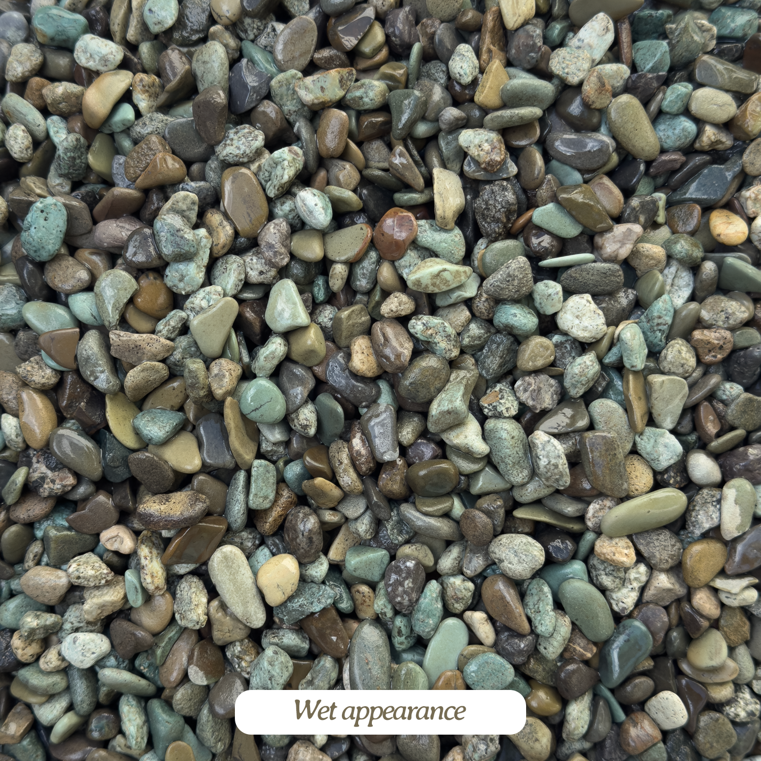 Gravel-GreenFloresWet.png