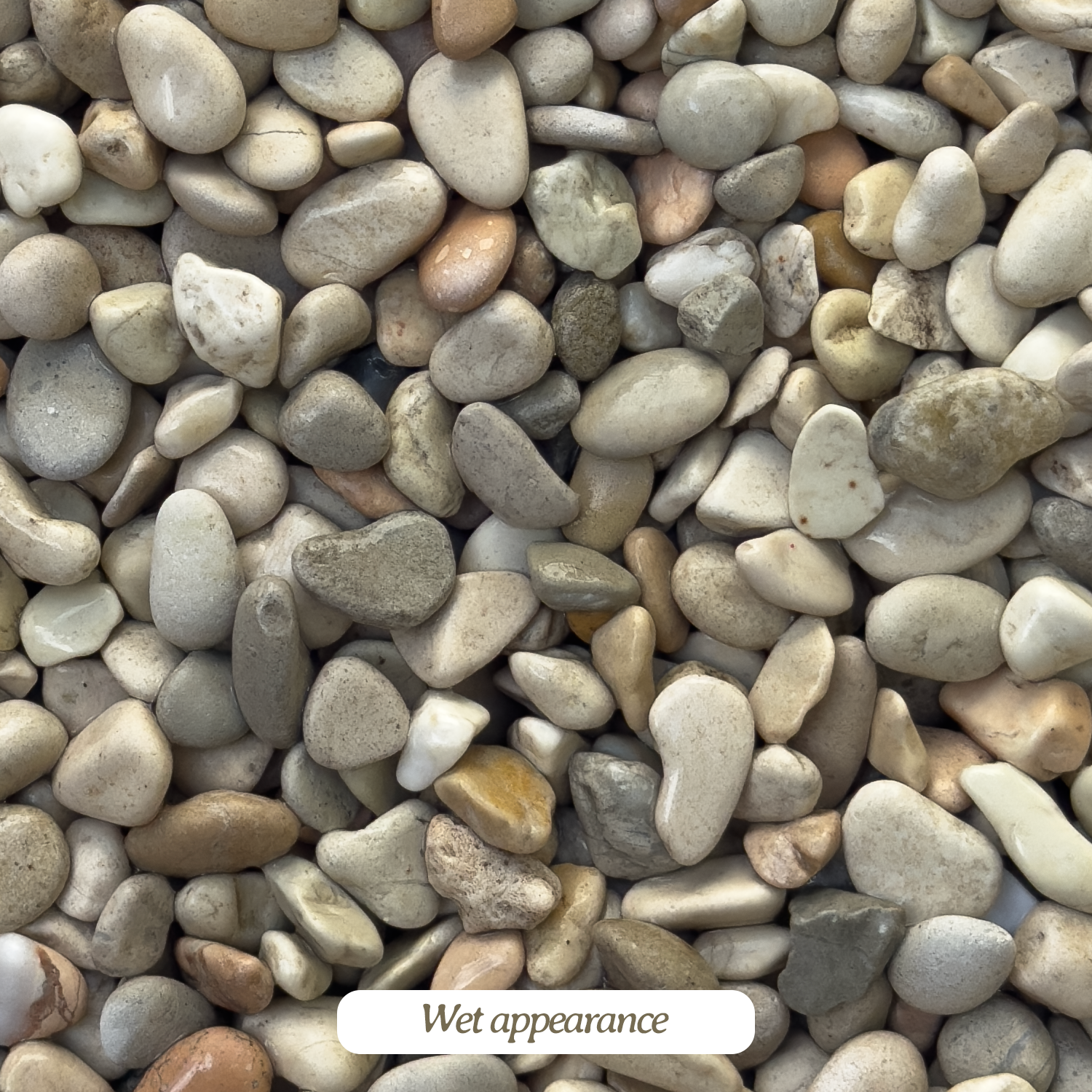 Gravel-WhiteTimorWet.png