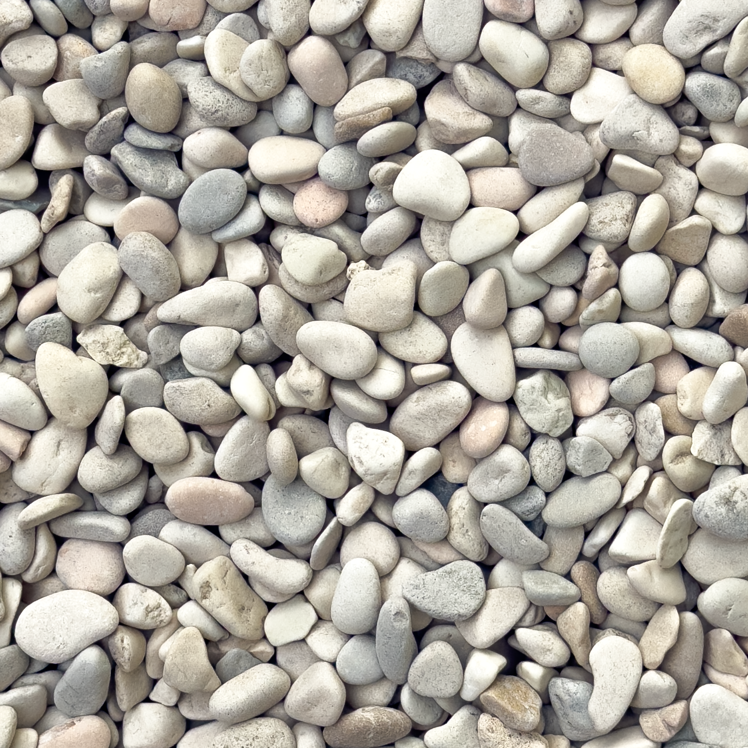 Gravel-WhiteTimorZoom.png
