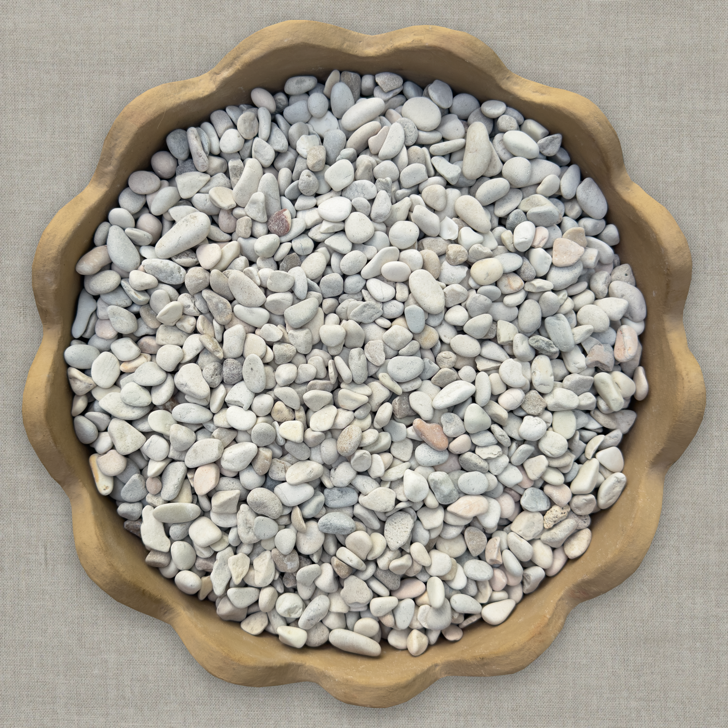 Gravel-WhiteTimorPotTop.png