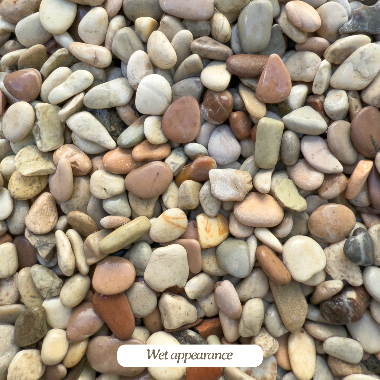 Gravel-CreamMixWet.png