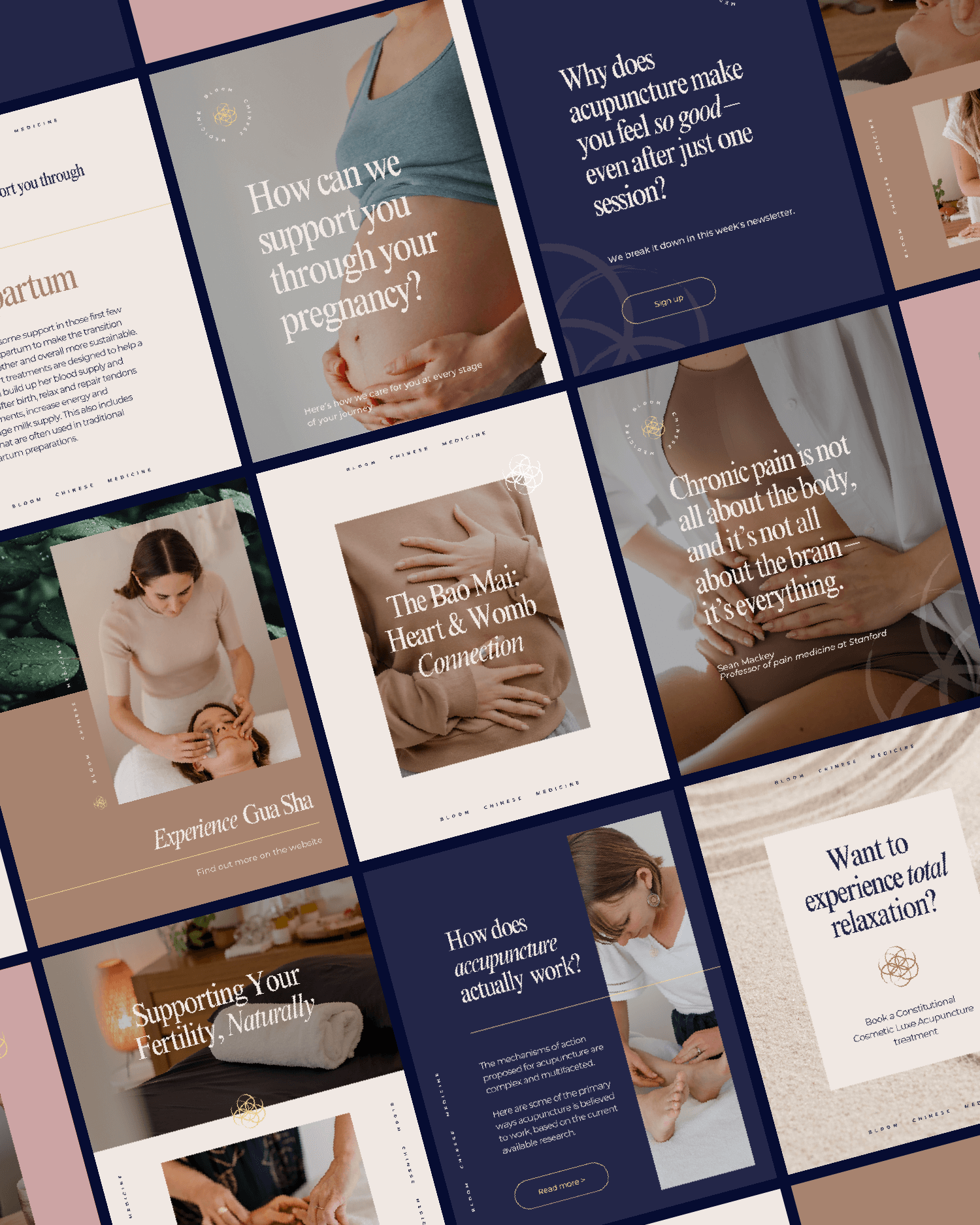 Acupuncture Chinese Medicine Fertility Social Media Templates