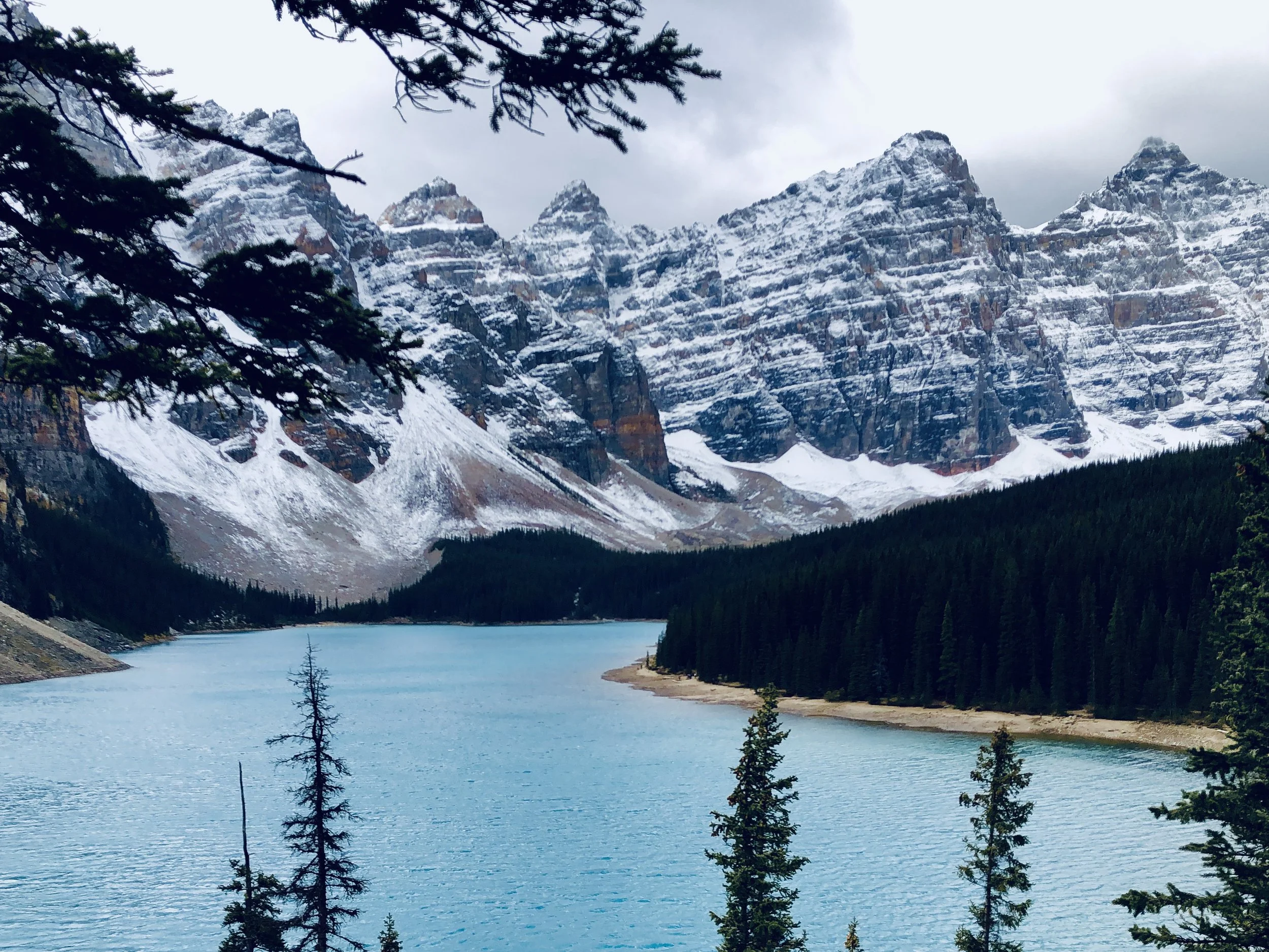 FIVE: Freedom to be Free