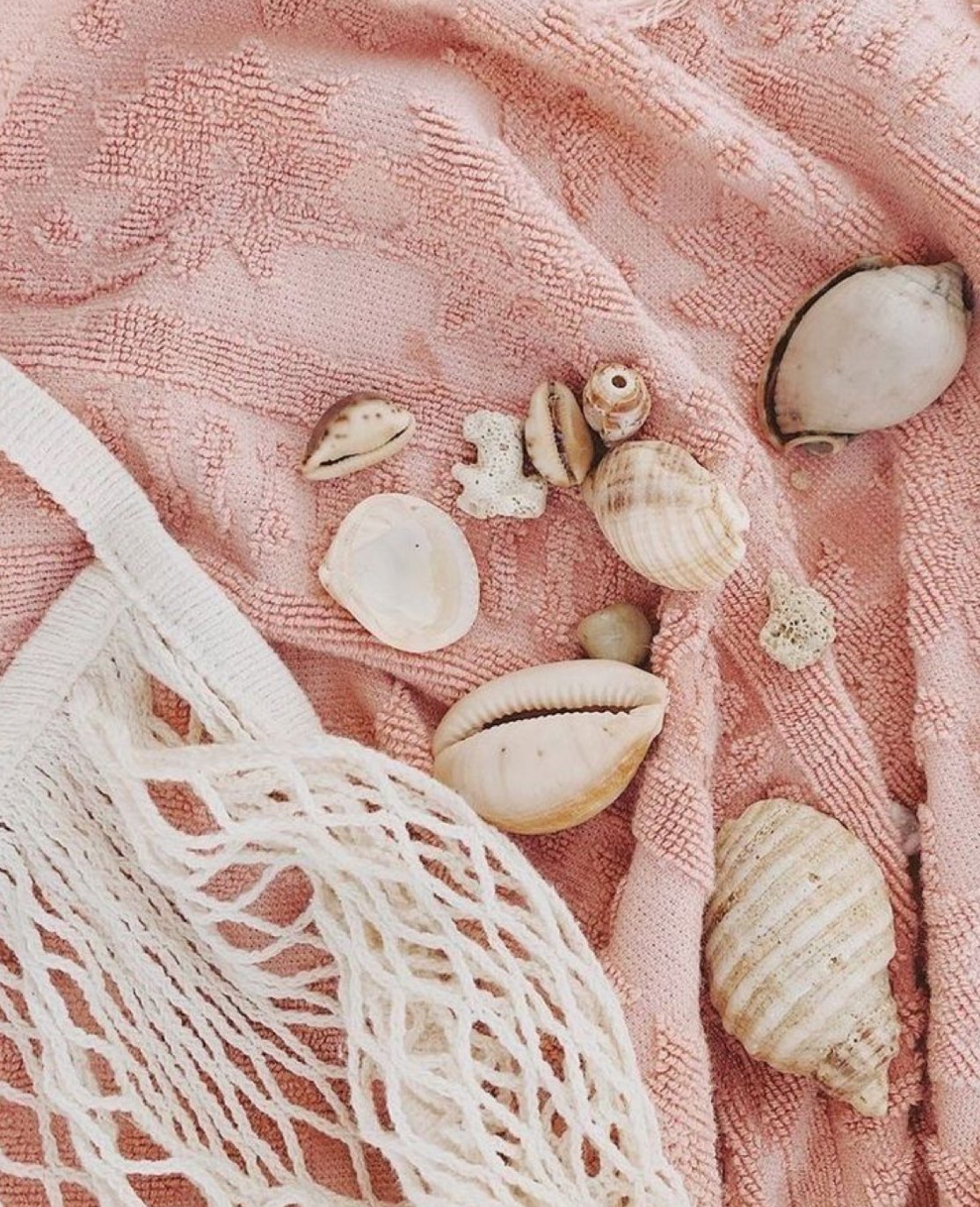 Seashells scattered on a pink textured towel with a white netted bag nearby.