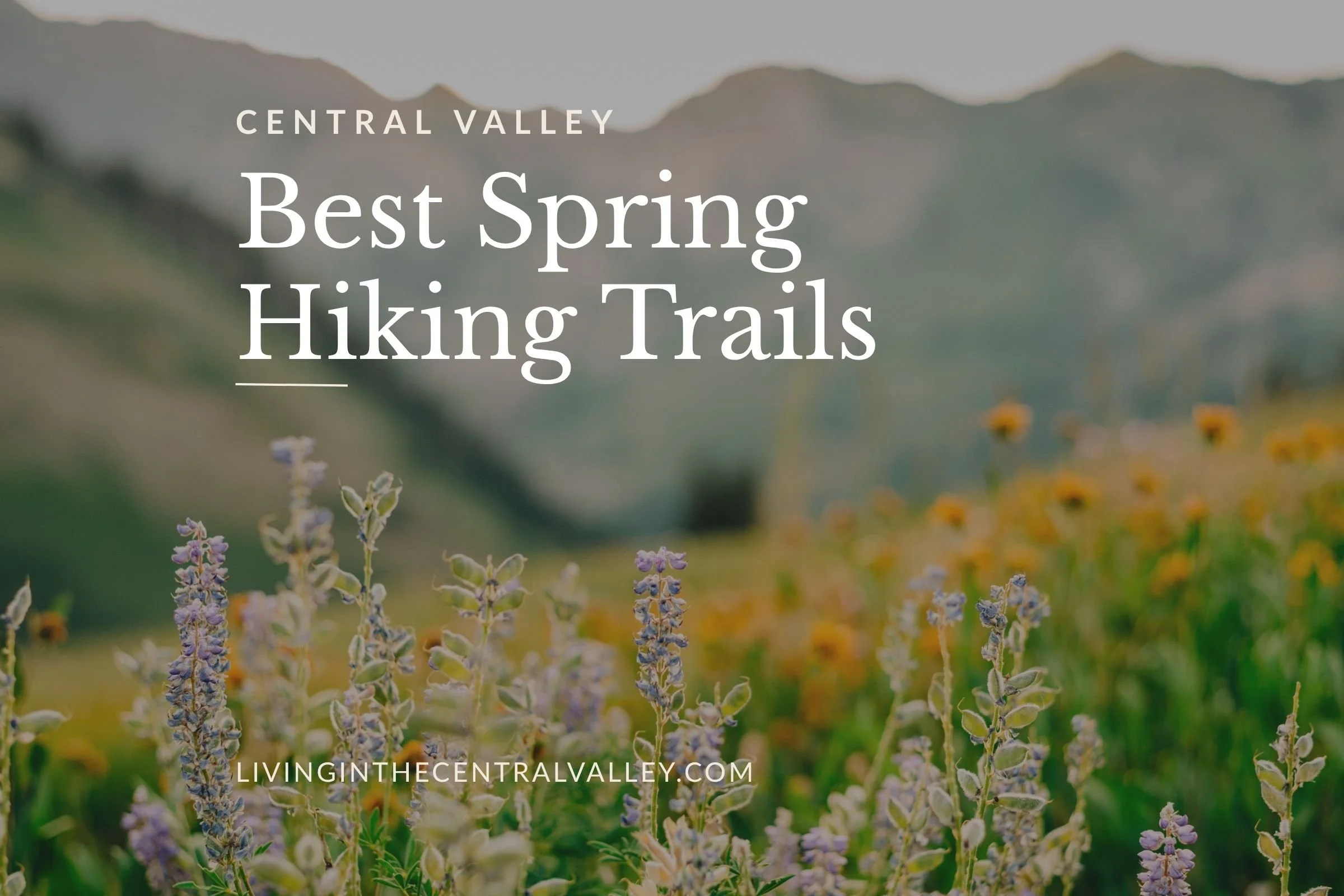 Spring Hiking Trails Near the Central Valley