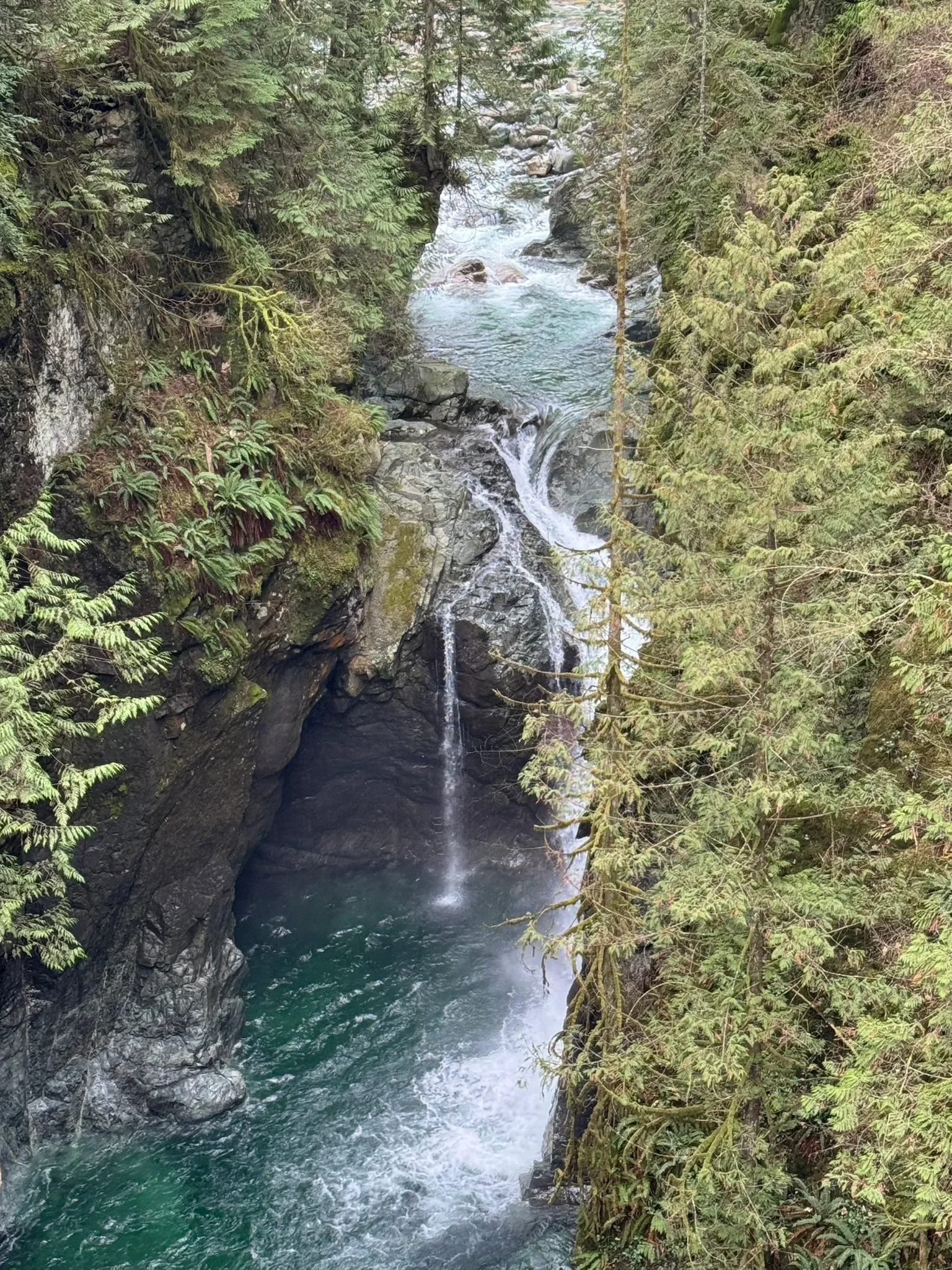 Hiking Club – Seymour River and Fisherman’s Loop