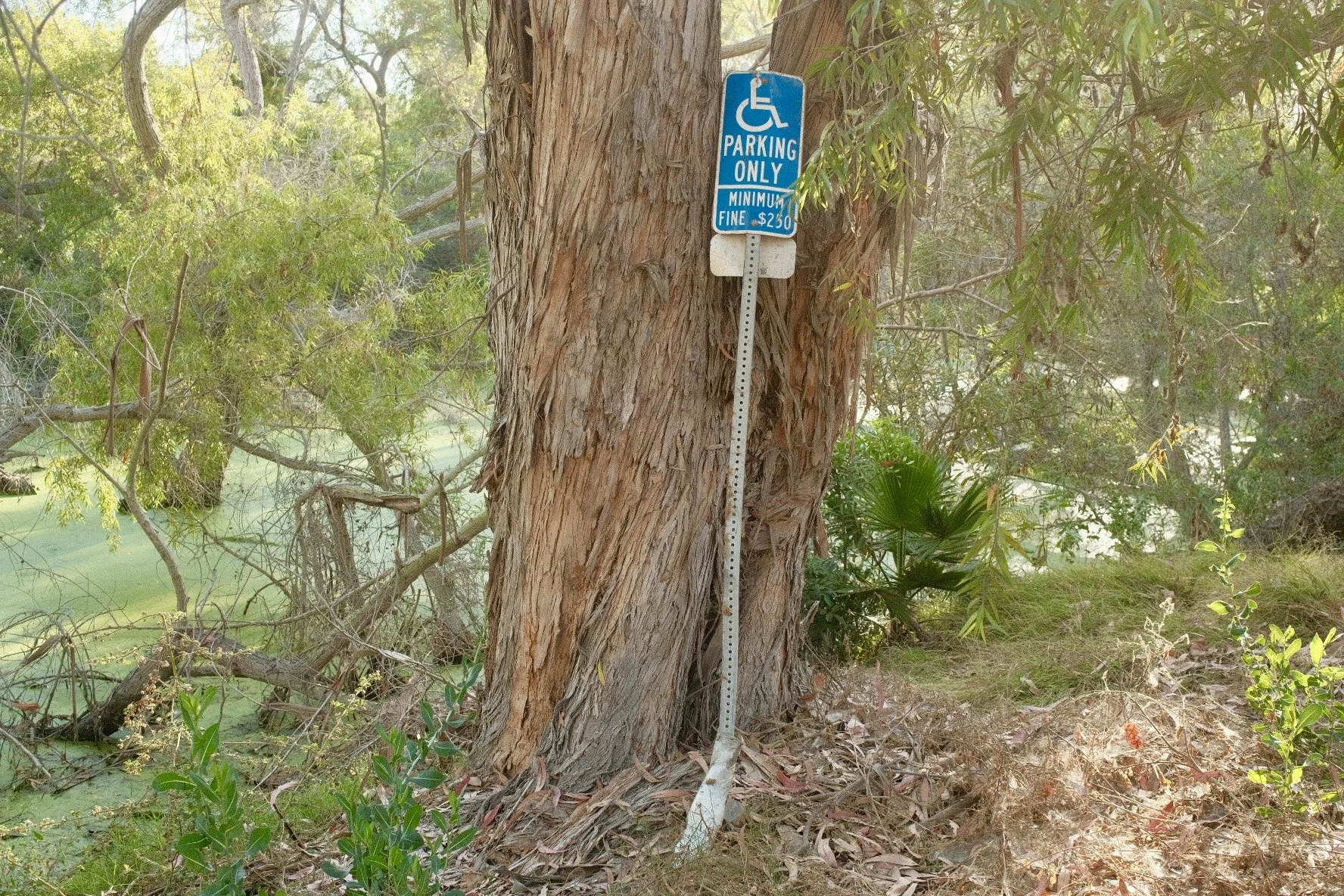 DSCF3507.jpg