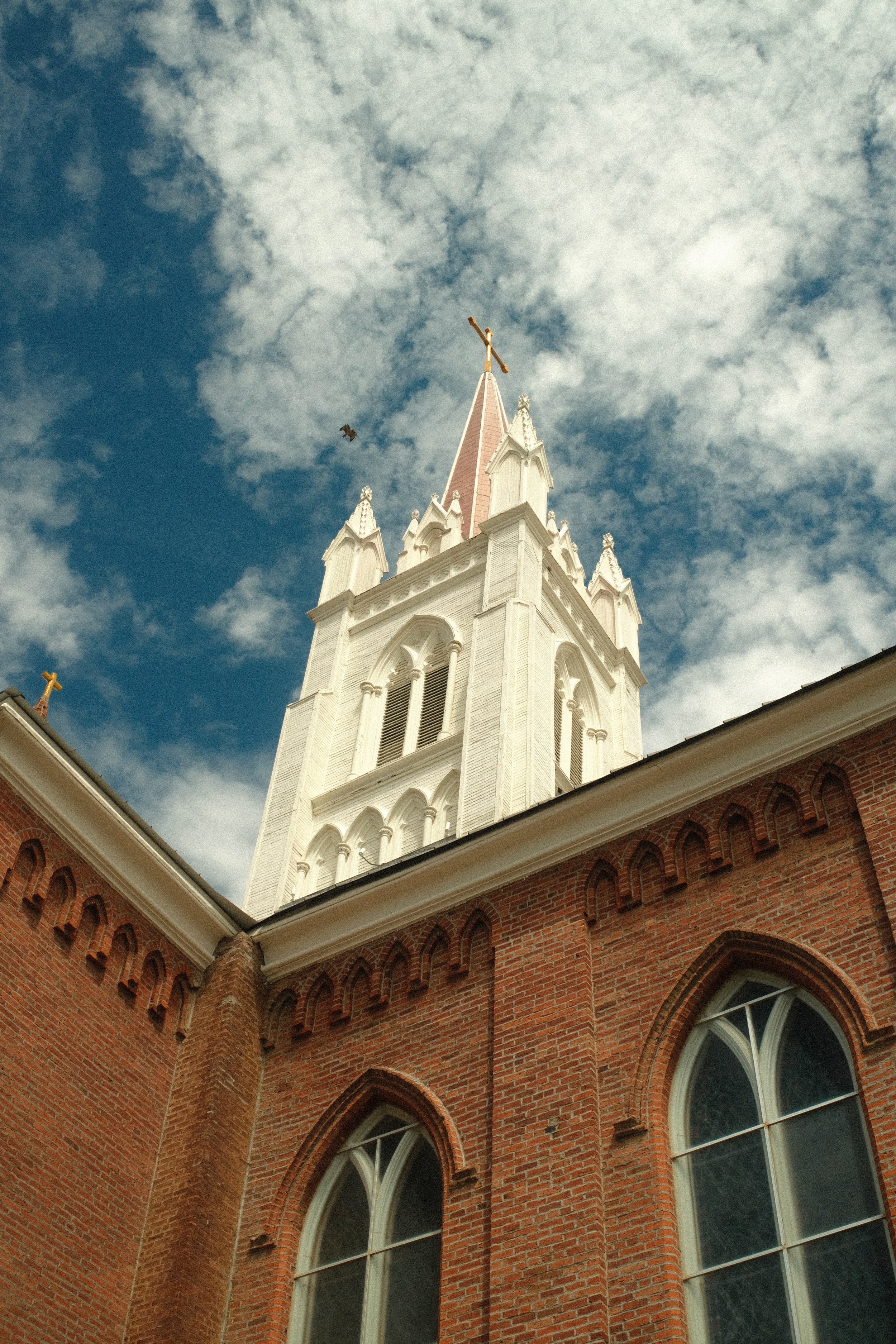 DSCF3565.JPG