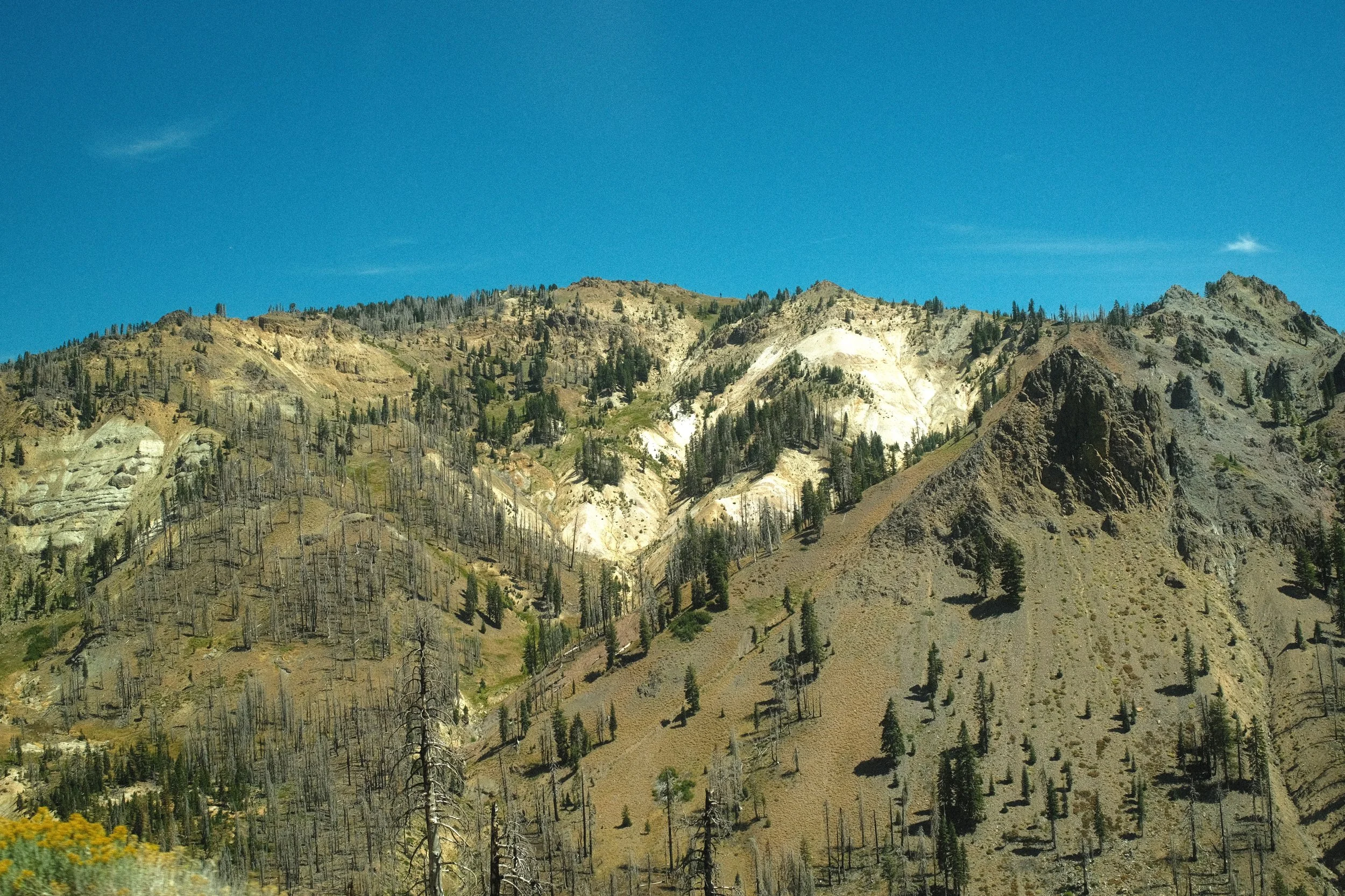 DSCF3579.JPG