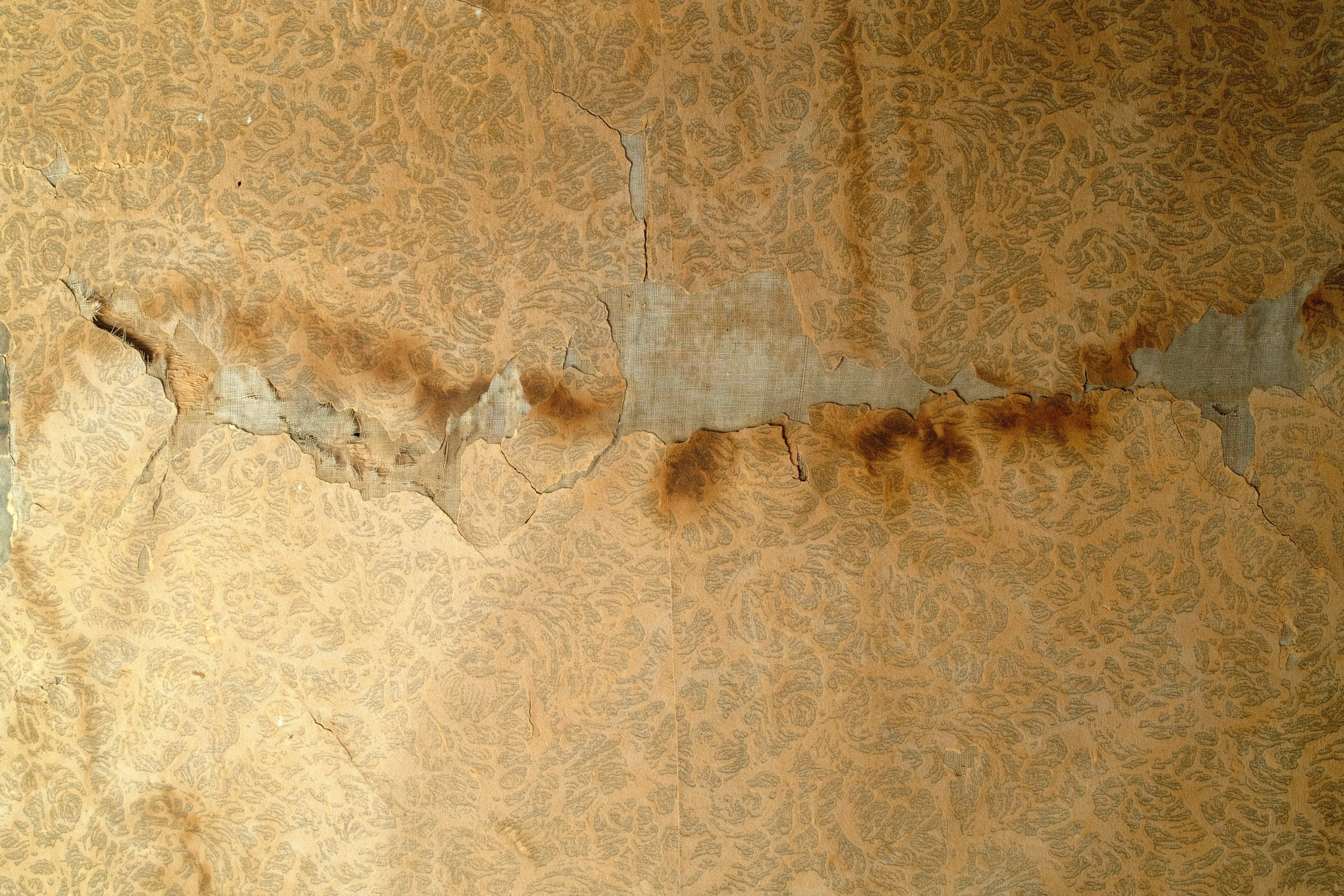 DSCF3531.JPG