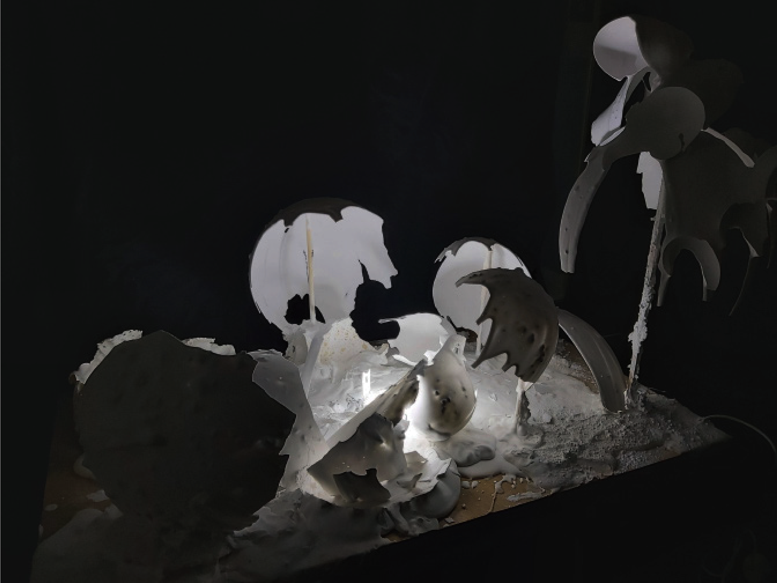 網頁|模型照片-02.png