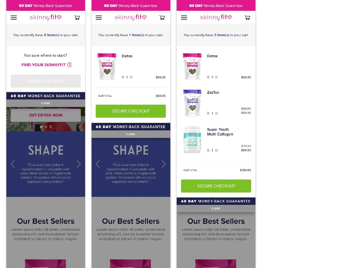 SkinnyFit_Website_Redesign_Creative_Review-67.jpg