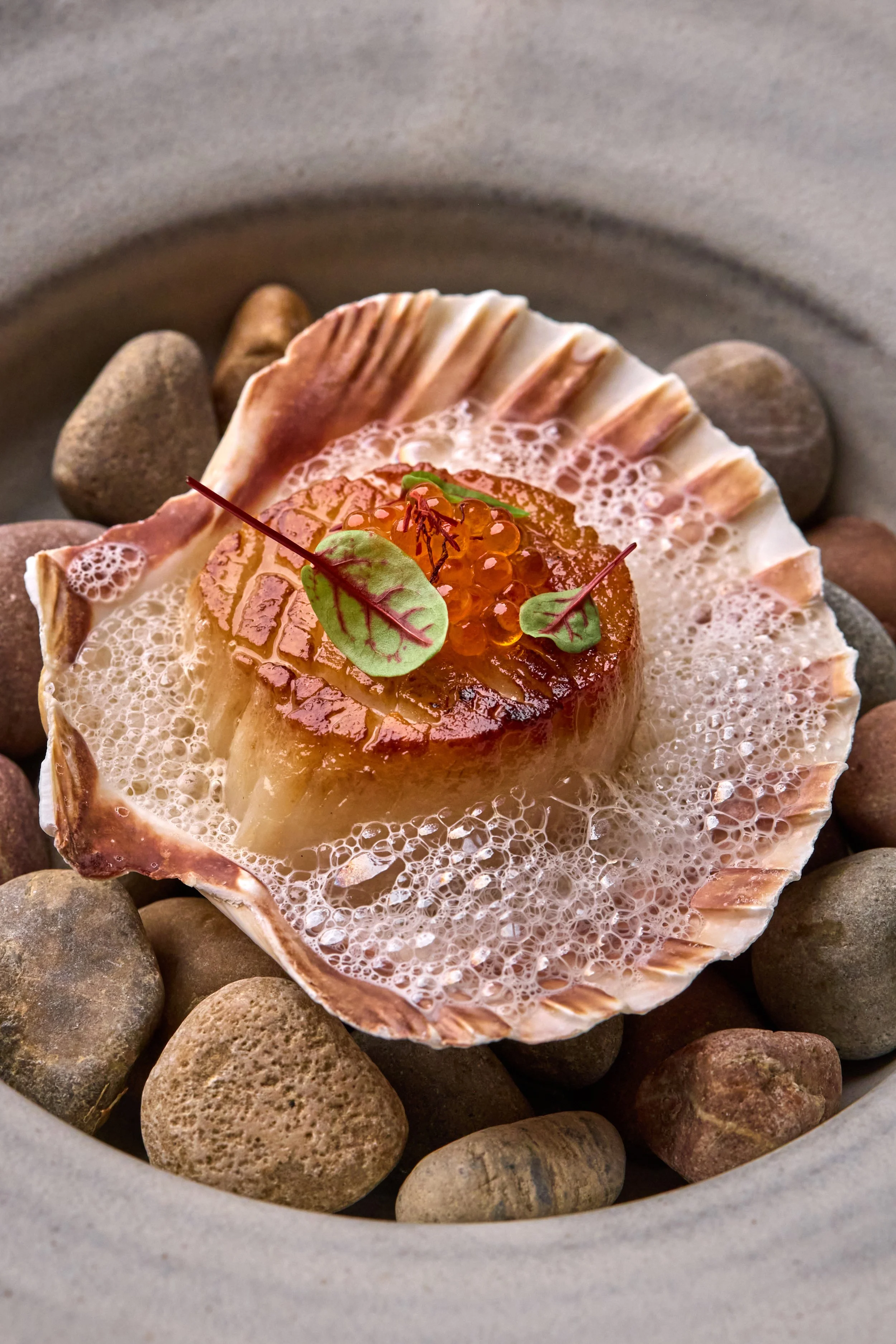 A scallop shell with roe and garnishes on top, surrounded by small rocks.