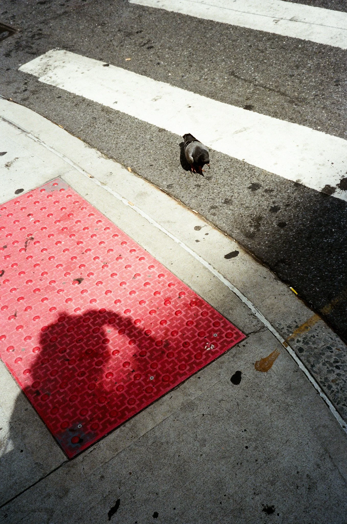 33970003.jpg