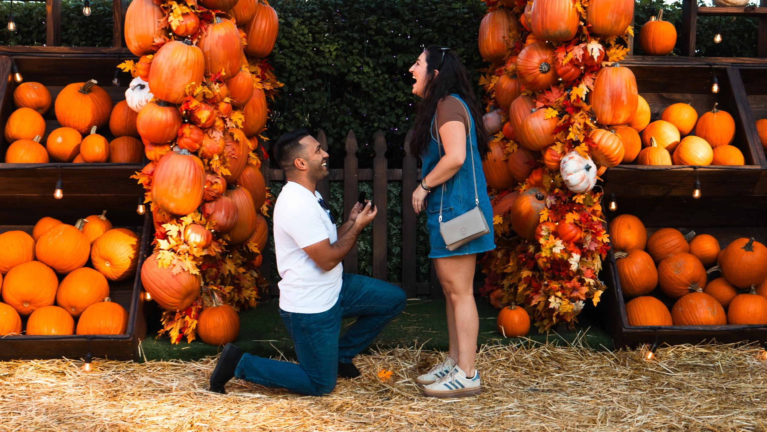 A man proposing to a woman at a pumpkin patch decorated with pumpkins and autumn leaves, with the man on one knee holding a ring.