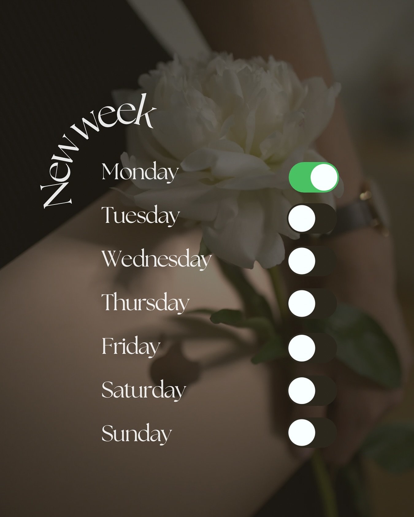 New week, new energy. #newweek #morningvibes #freshstart